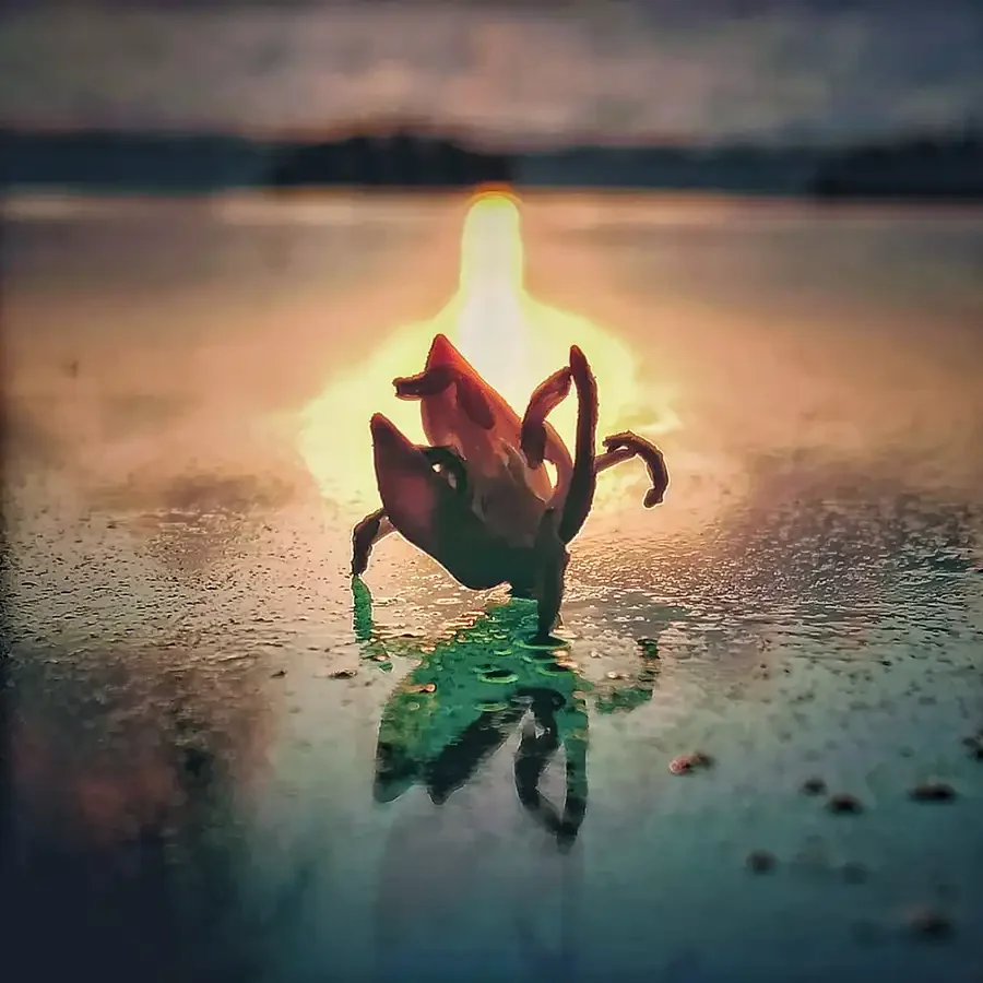 Regreso a Mí: Galactika Deep Roots crea en "La Isla" una balada reggae para navegar los desiertos del alma.