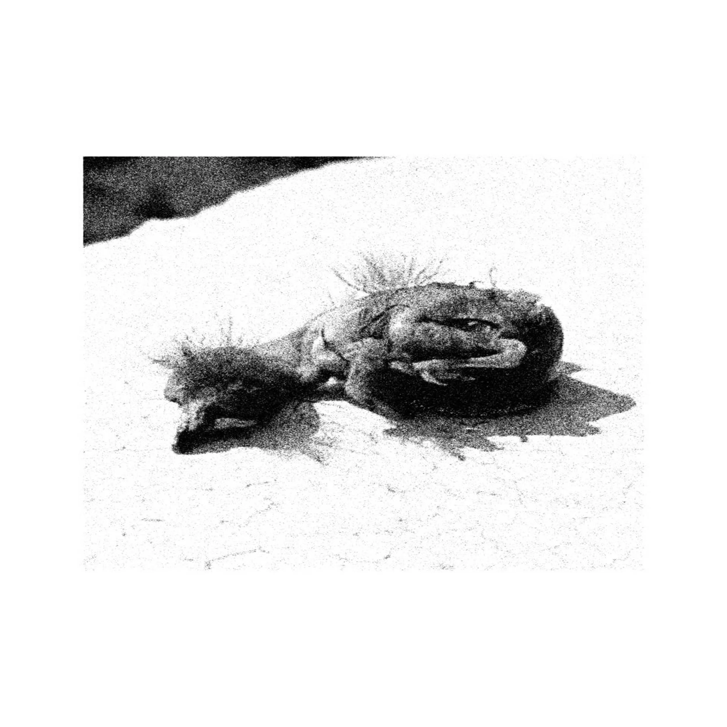 La estética de la imperfección: H.O.G.S redefine el sonido de Ecatepec con su visceral EP "EN CRUDO".