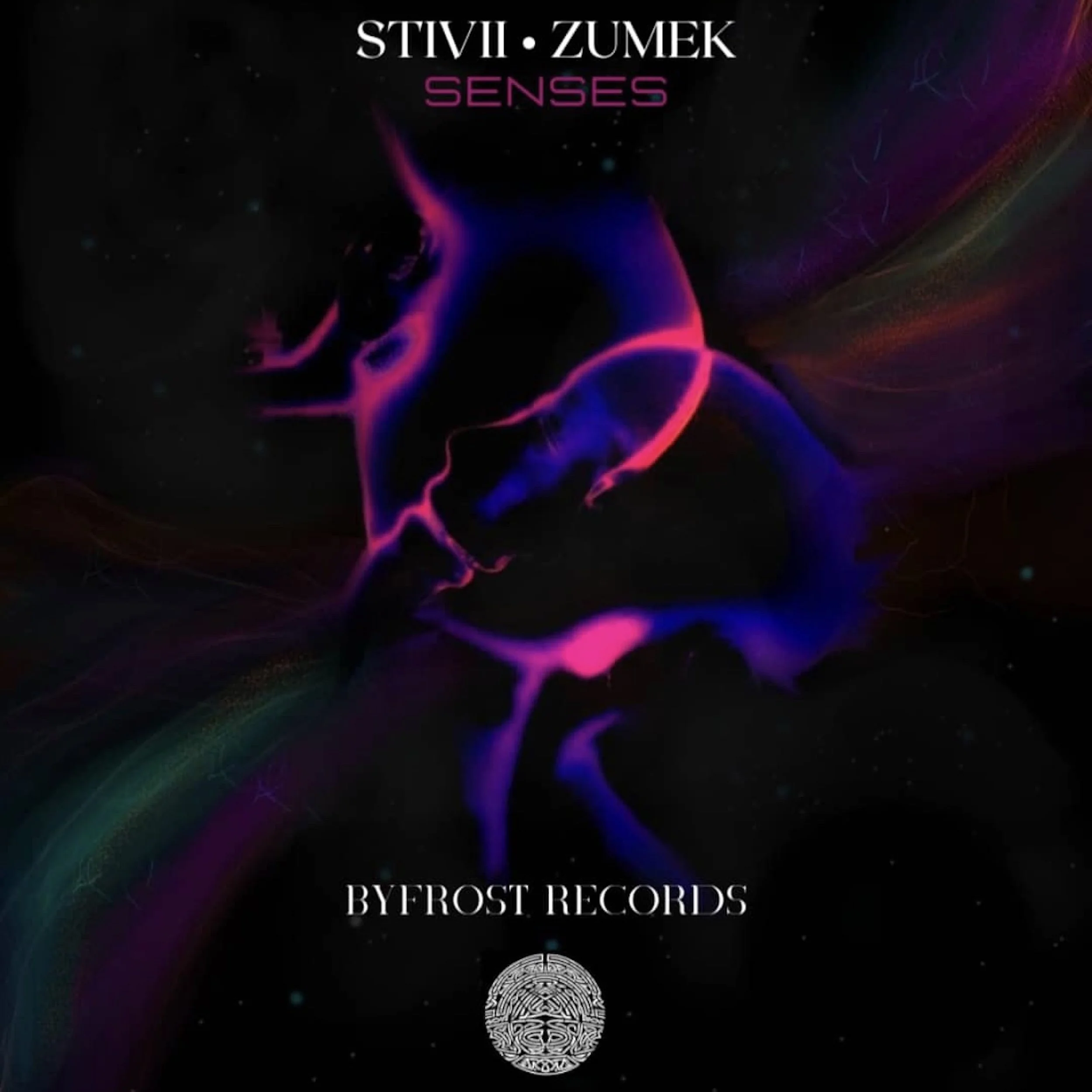 Cover STIVII ZUMEK SENSES