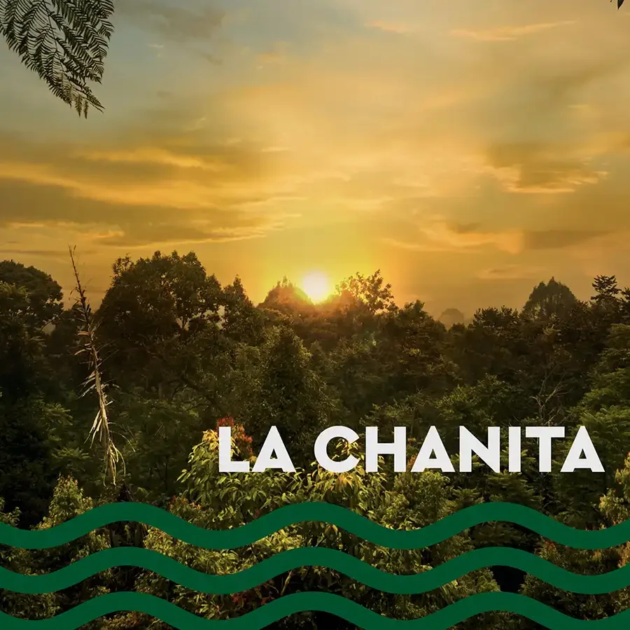 Memoria acústica contra la extinción: Sonoro presenta su trilogía de paisajes sonoros binaurales.