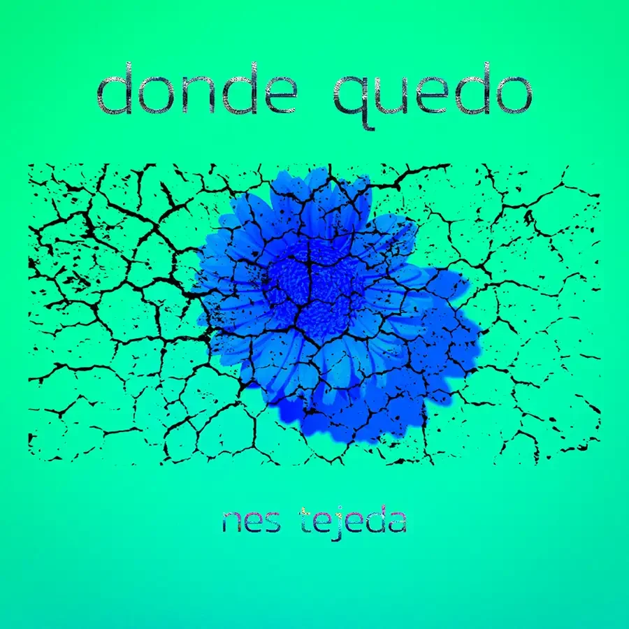 Renacer consciente: Nes Tejeda regresa con "¿Dónde Quedó?", la fusión de ritmos latinos y nostalgia synth que busca el amor esencial.
