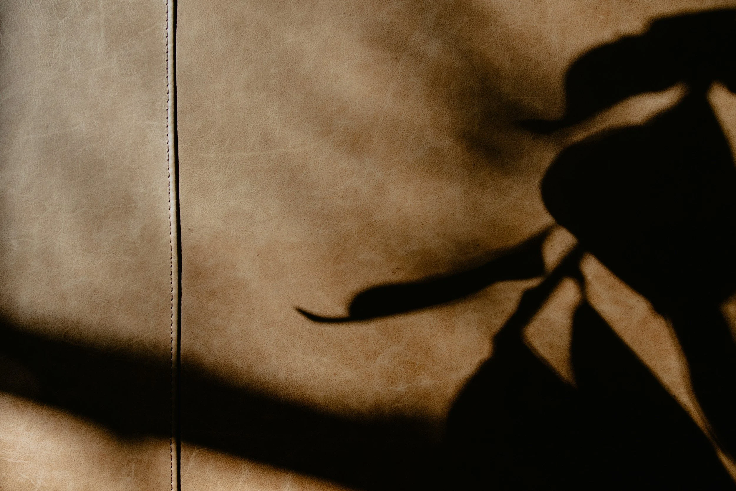 Shadow of a plant or object cast on a beige surface with a vertical seam or line.