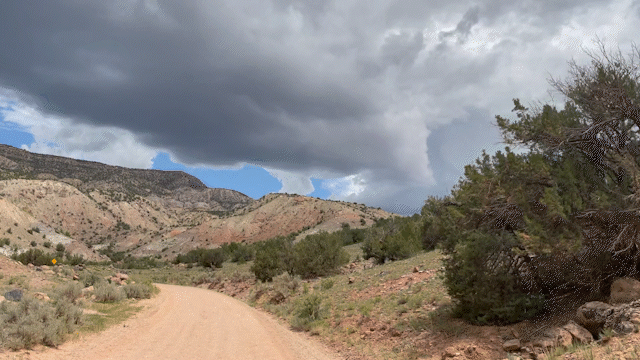nm