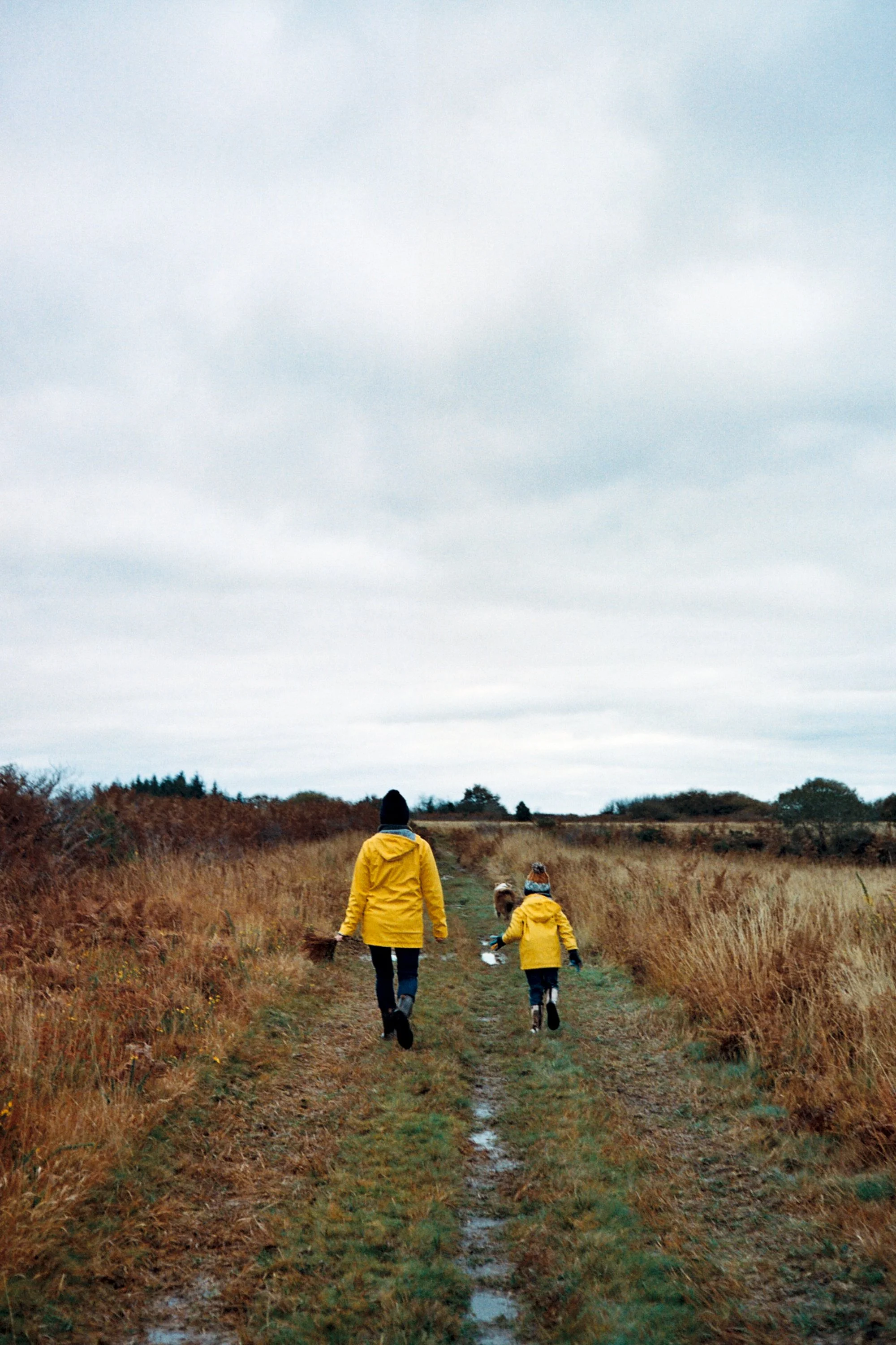 Two people, an adult and a child, walk through a hilly field in autumn, dressed in yellow coats, under a cloudy sky.