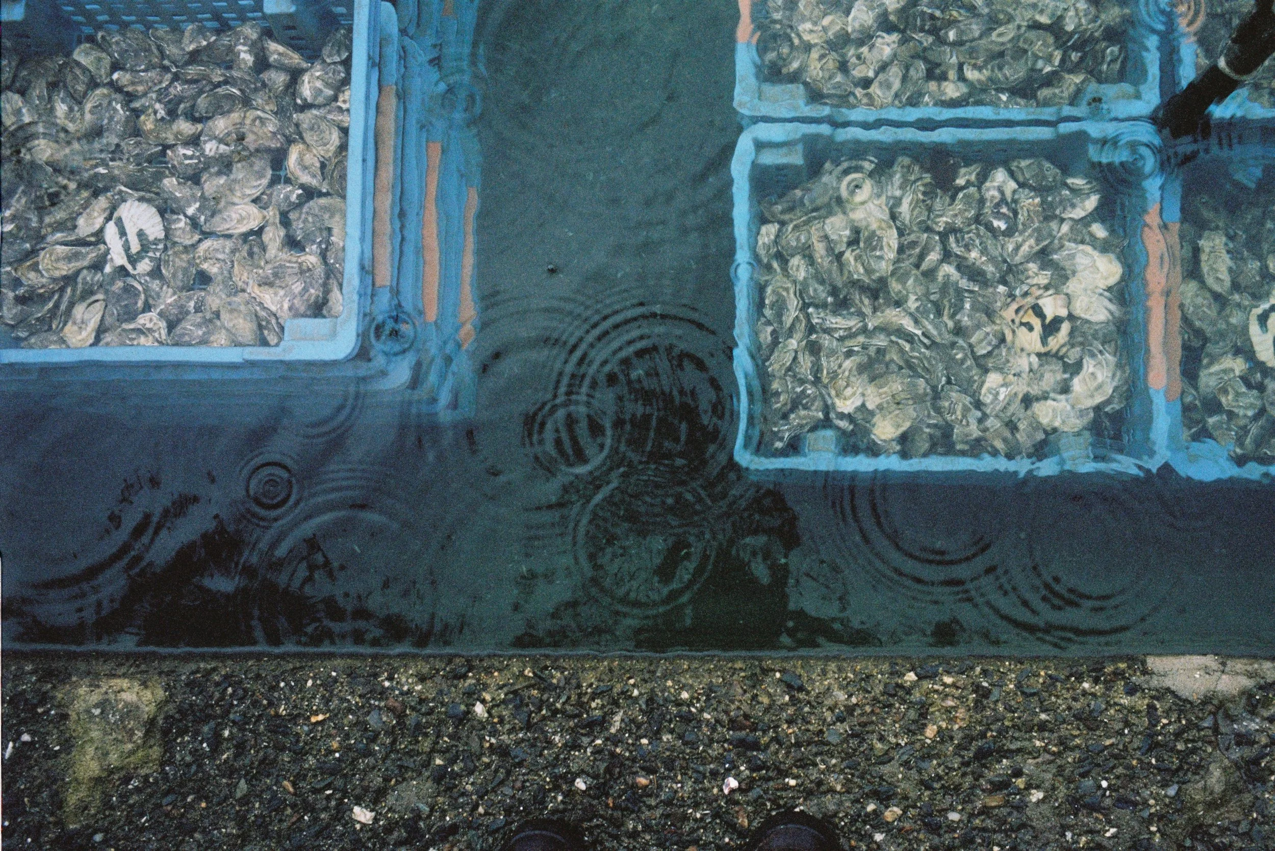 Mould boxes lined up in a storage area, with water on the floor reflecting the scene.