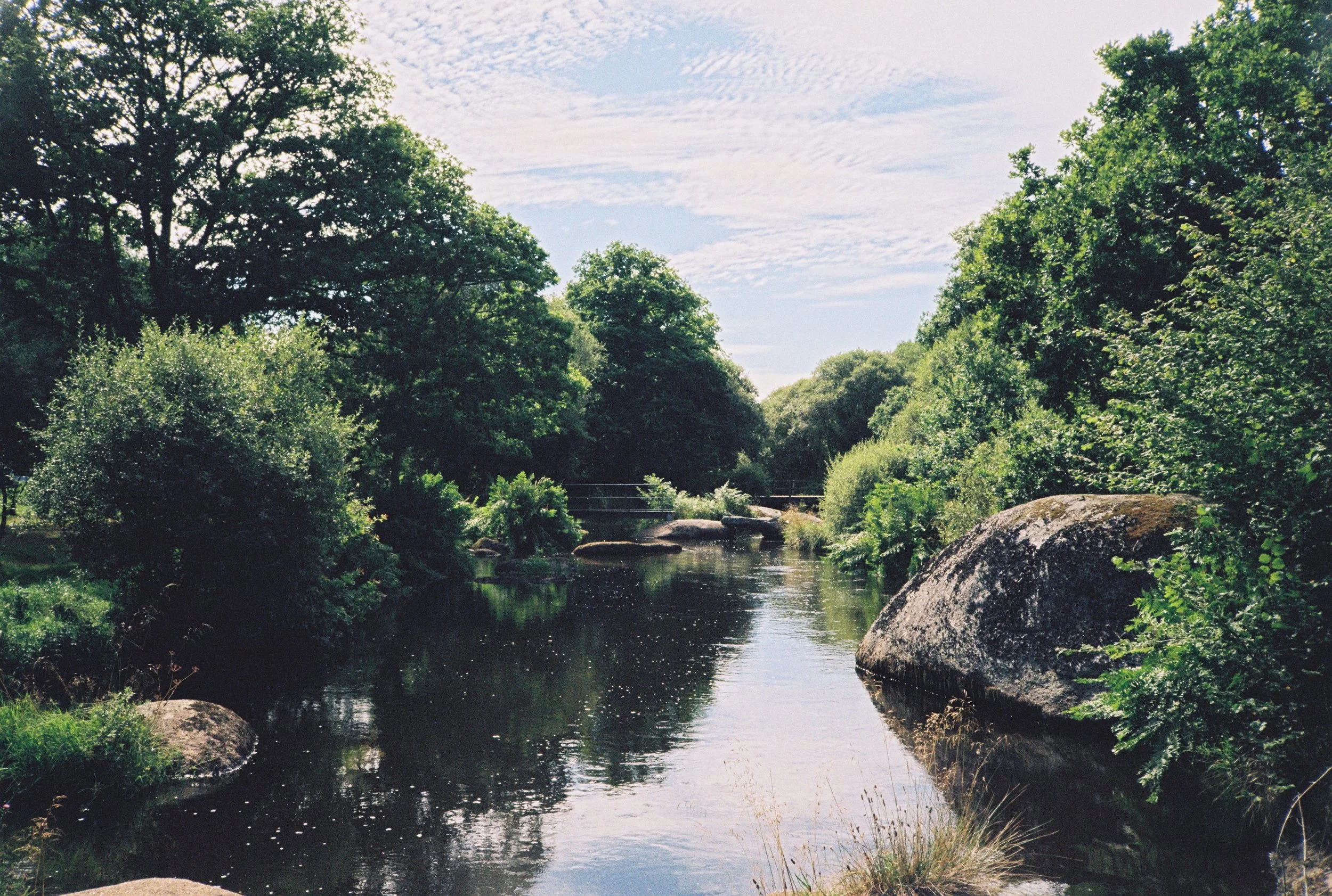 A river lined with green trees and a partly cloudy sky.