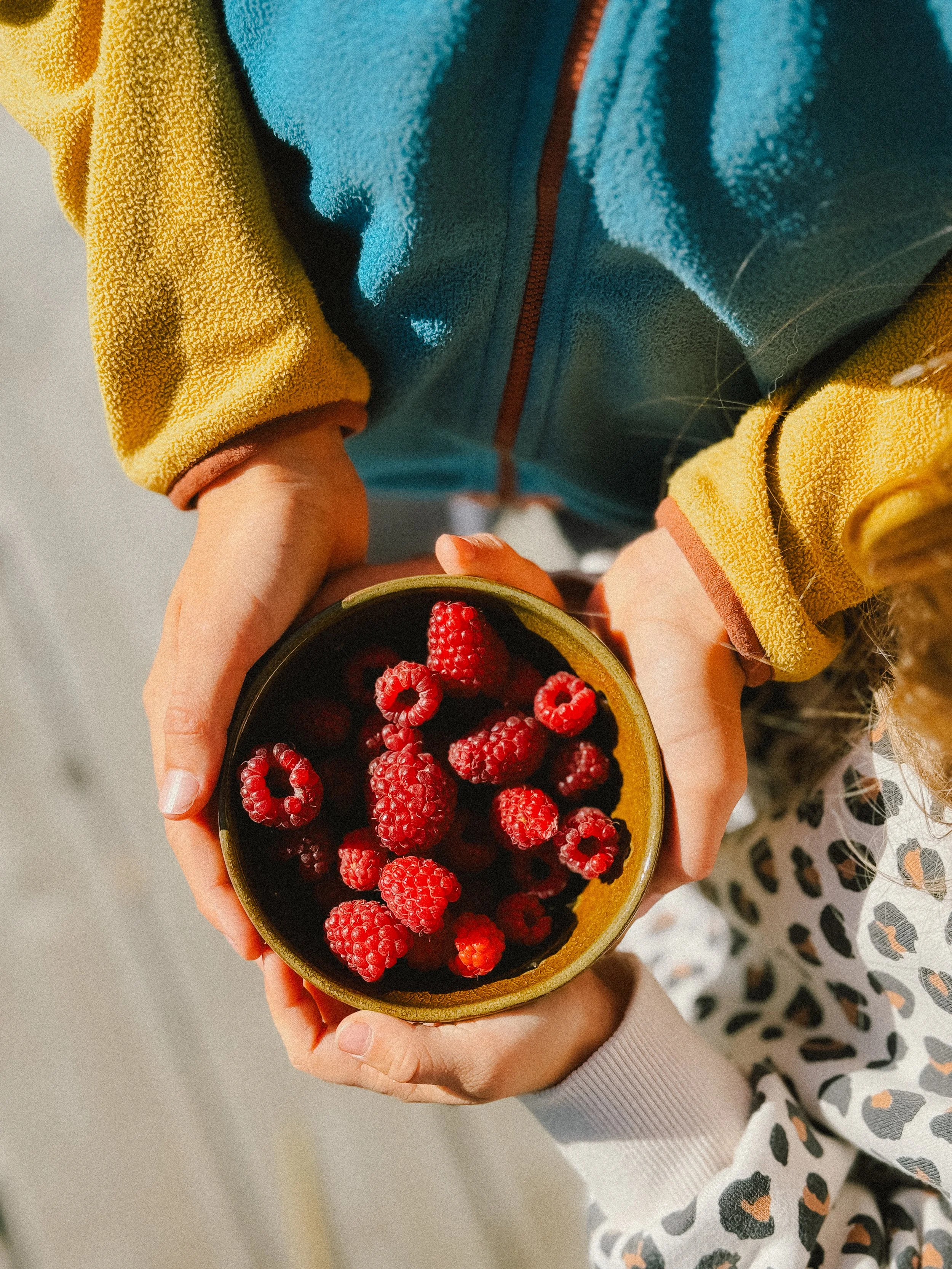 Personne tenant un bol de framboises