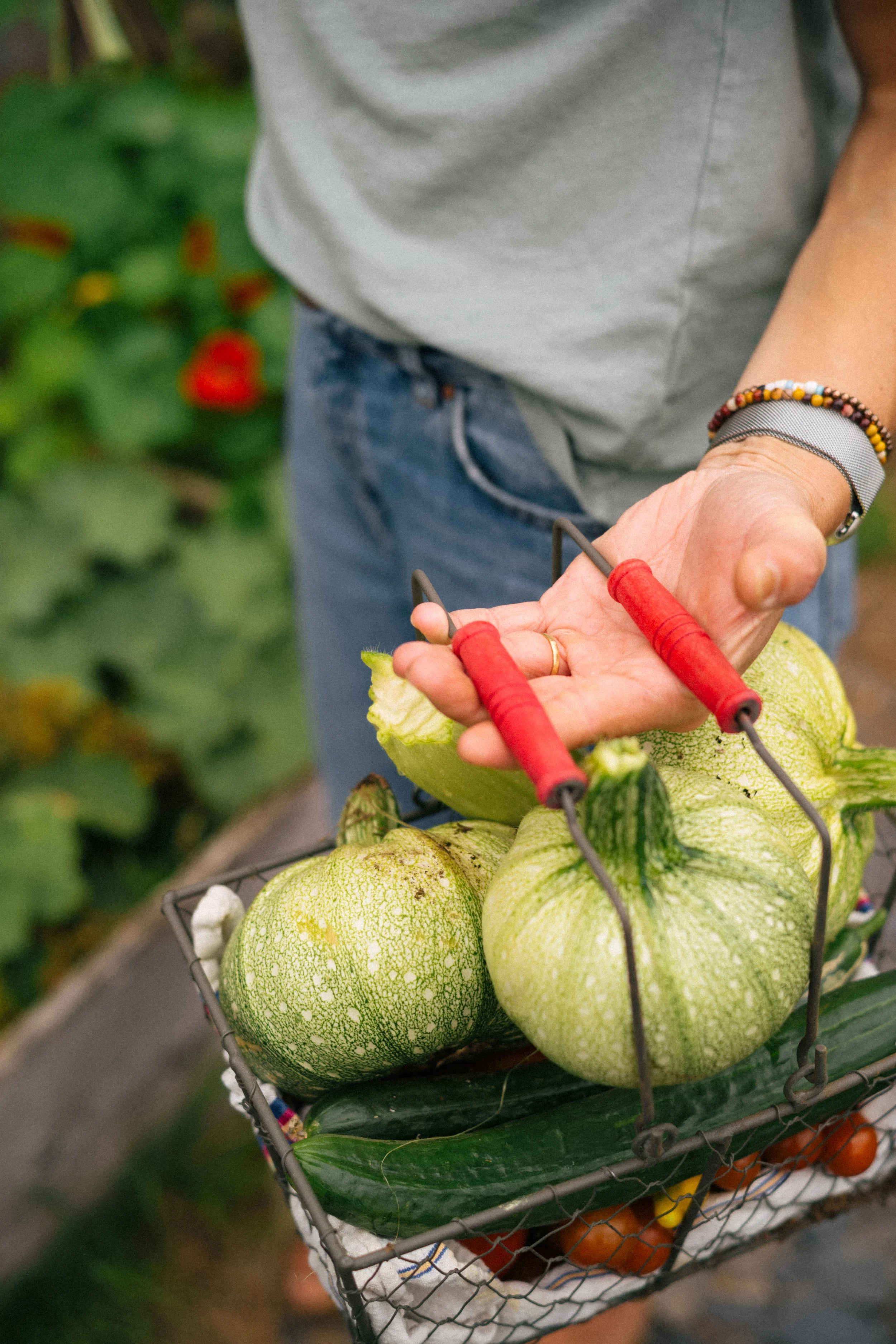 Une personne tenant une grille contenant de petits légumes cultivés dans un jardin, dont des courgettes, des tomates et des courges.