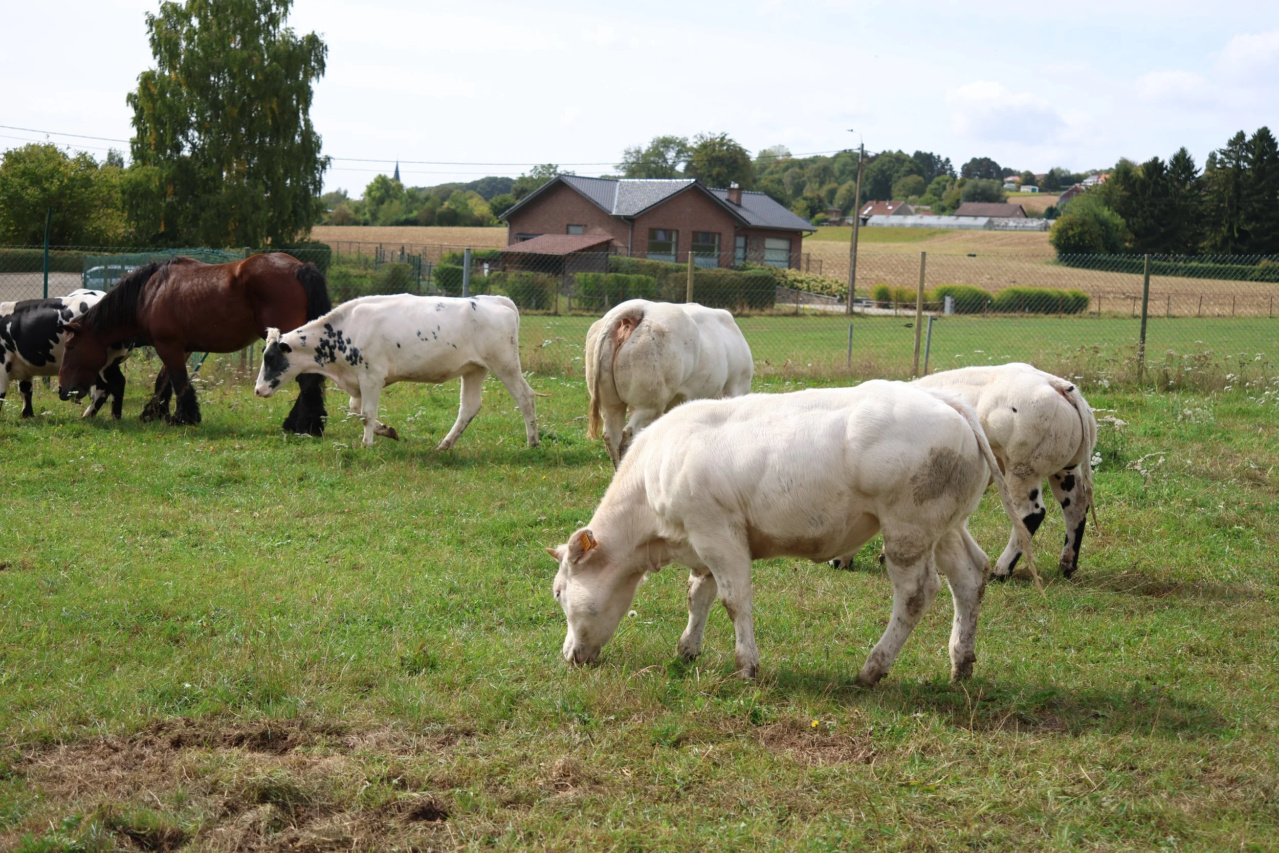 Beste waterkwaliteitsresultaten ooit: waterkwaliteit in landbouwgebied verbetert verder