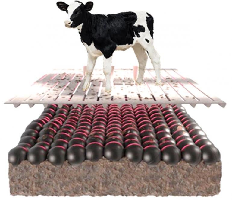 Jo Brouns erkent drijvende ballen in het mestoppervlak ook voor vleeskalveren&nbsp;