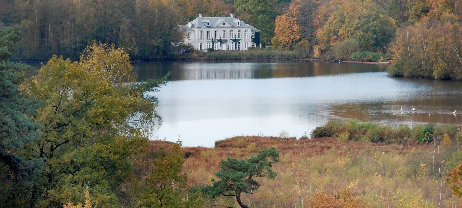 Minister Brouns ondersteunt aankoop van 124 hectare natuur op Domein Terlaemen