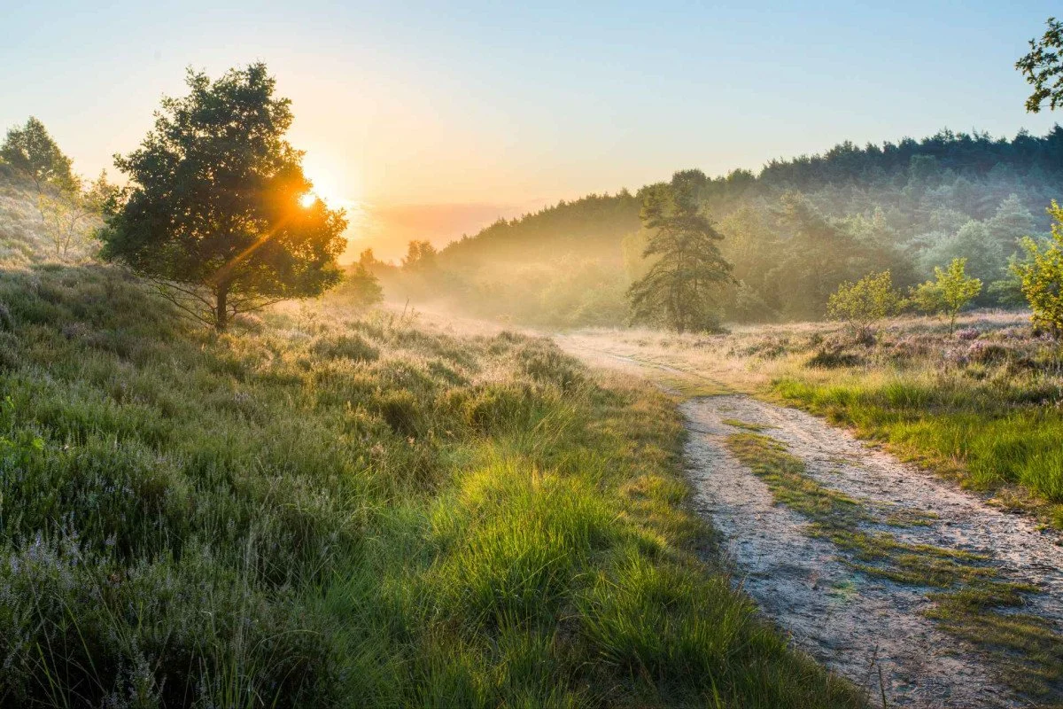 Hoeveel investeert vlaanderen in natuur?