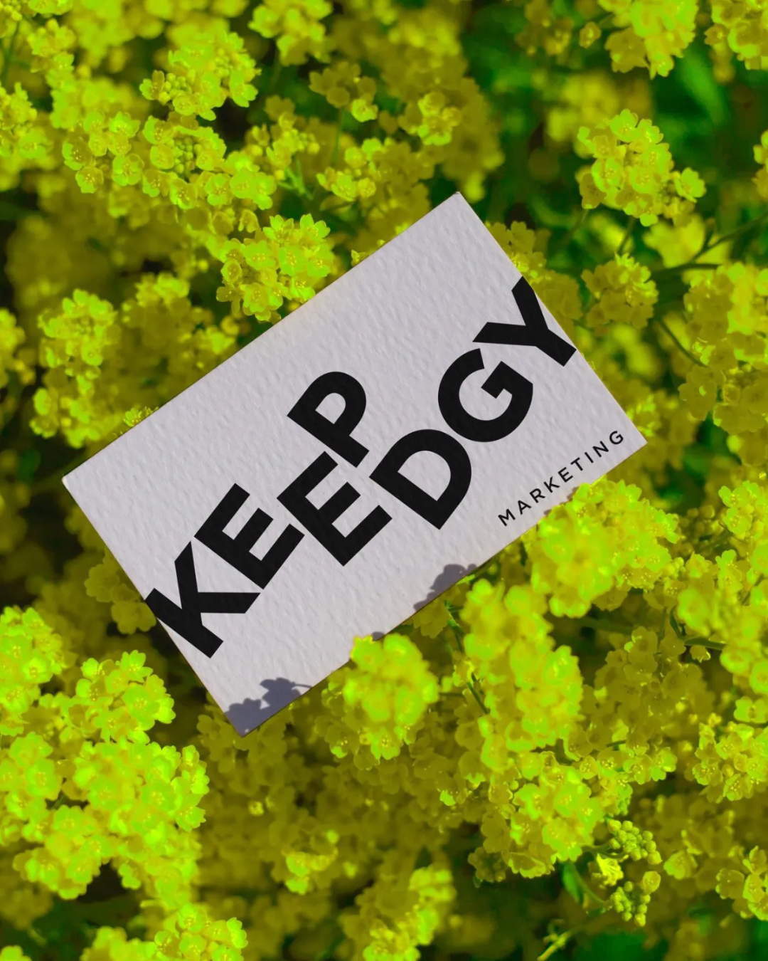 keepedgy marketing business card.png