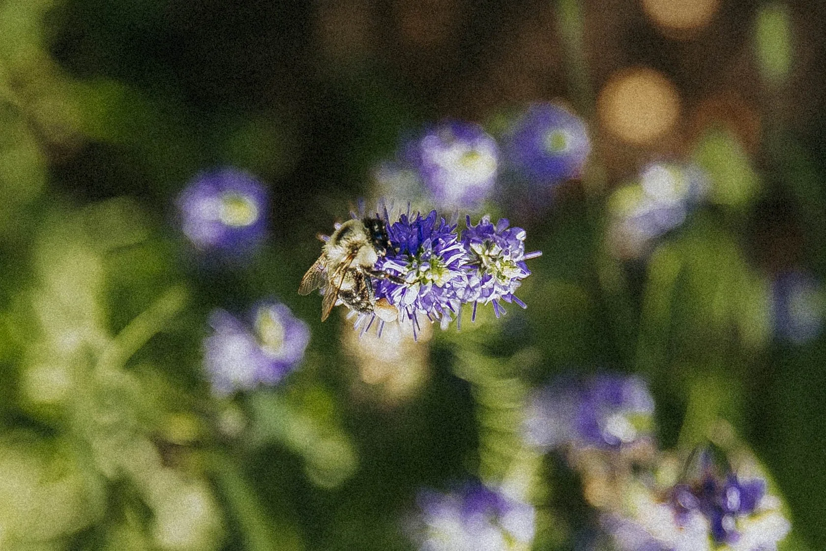 Serena_20260716_MM_14.jpg