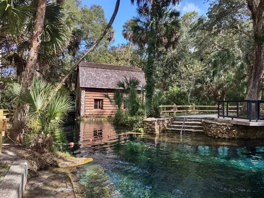Juniper Springs