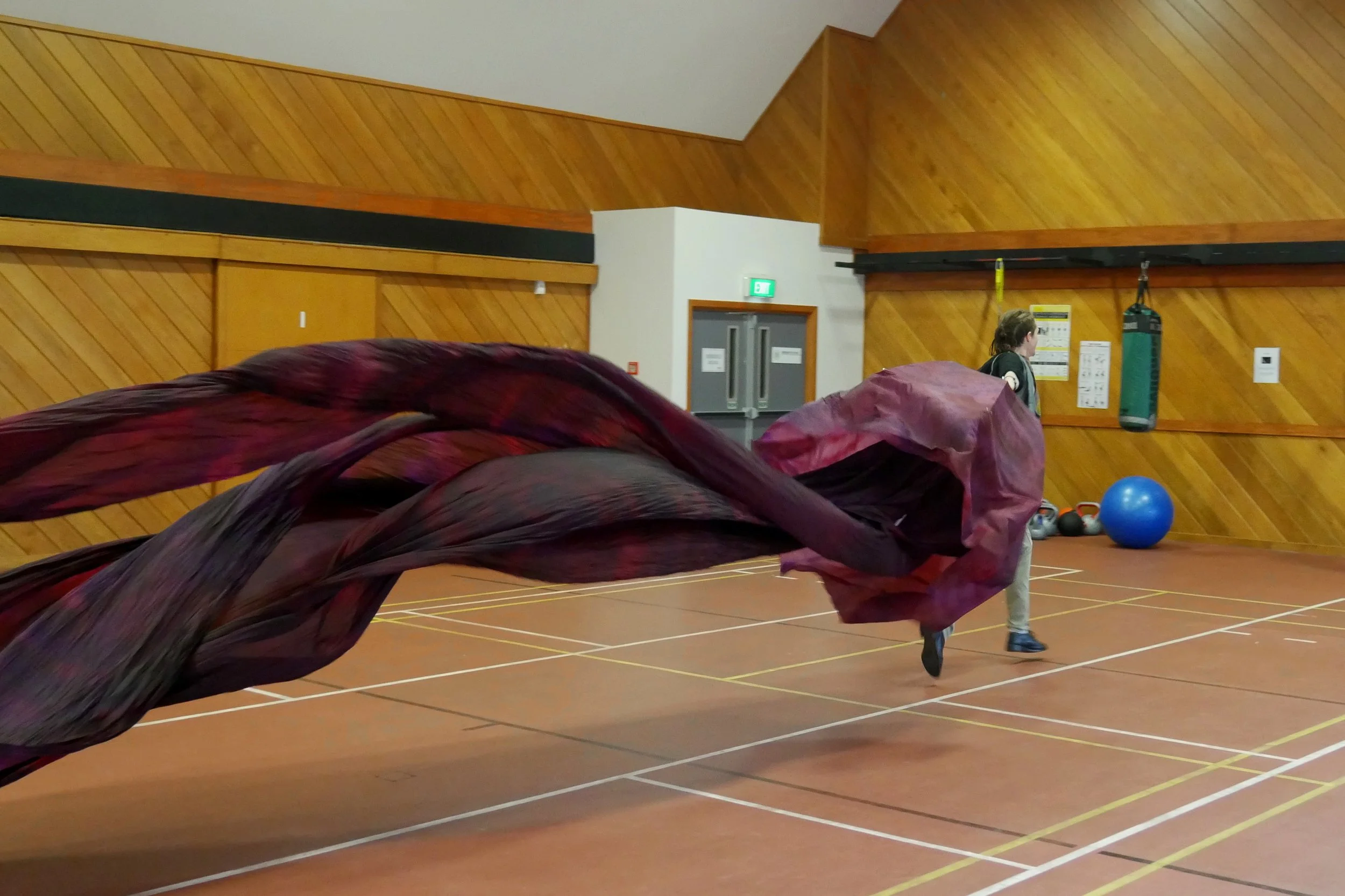 jellyfish chases man.JPG