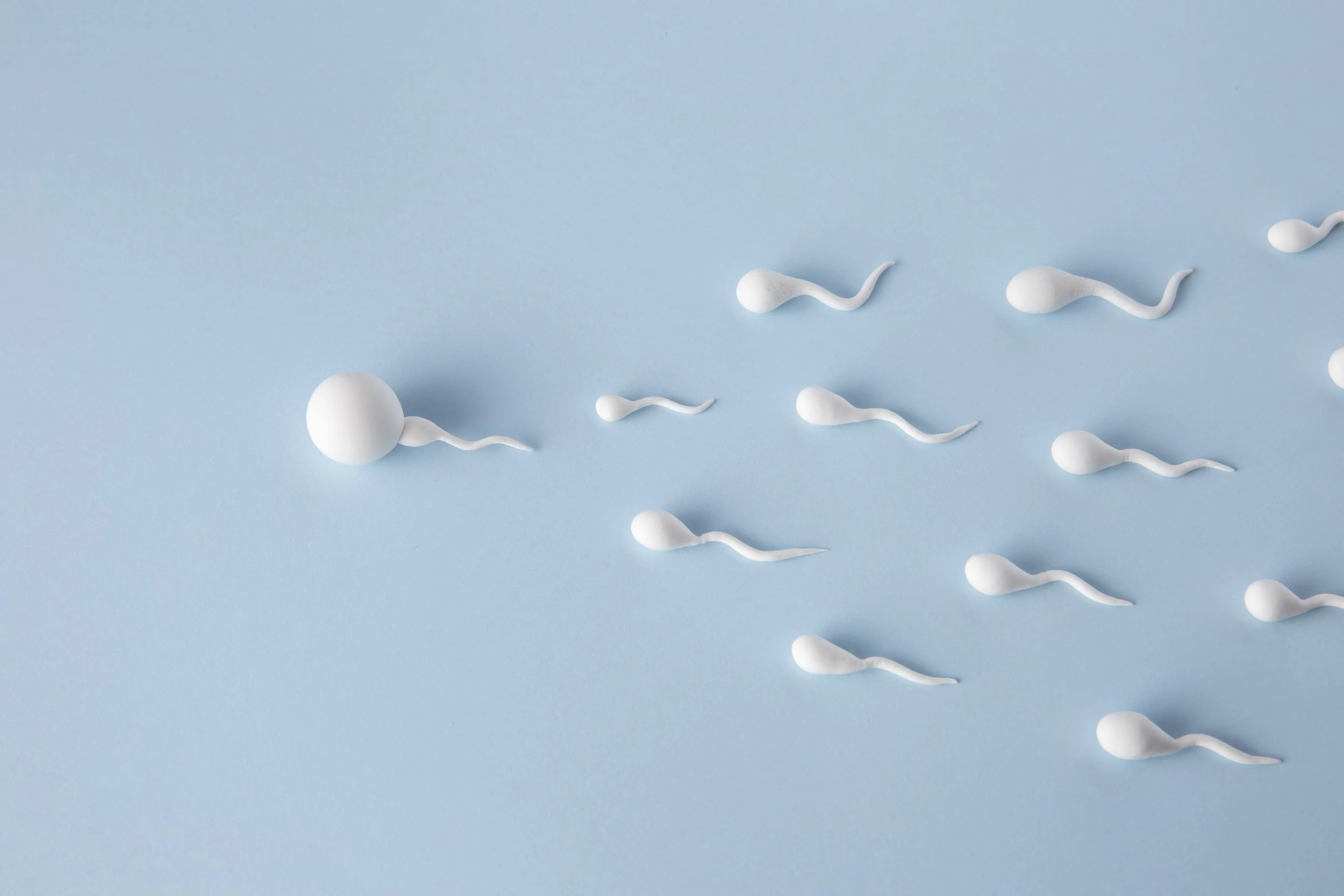 How to Become a Sperm Donor: Your Ultimate Guide