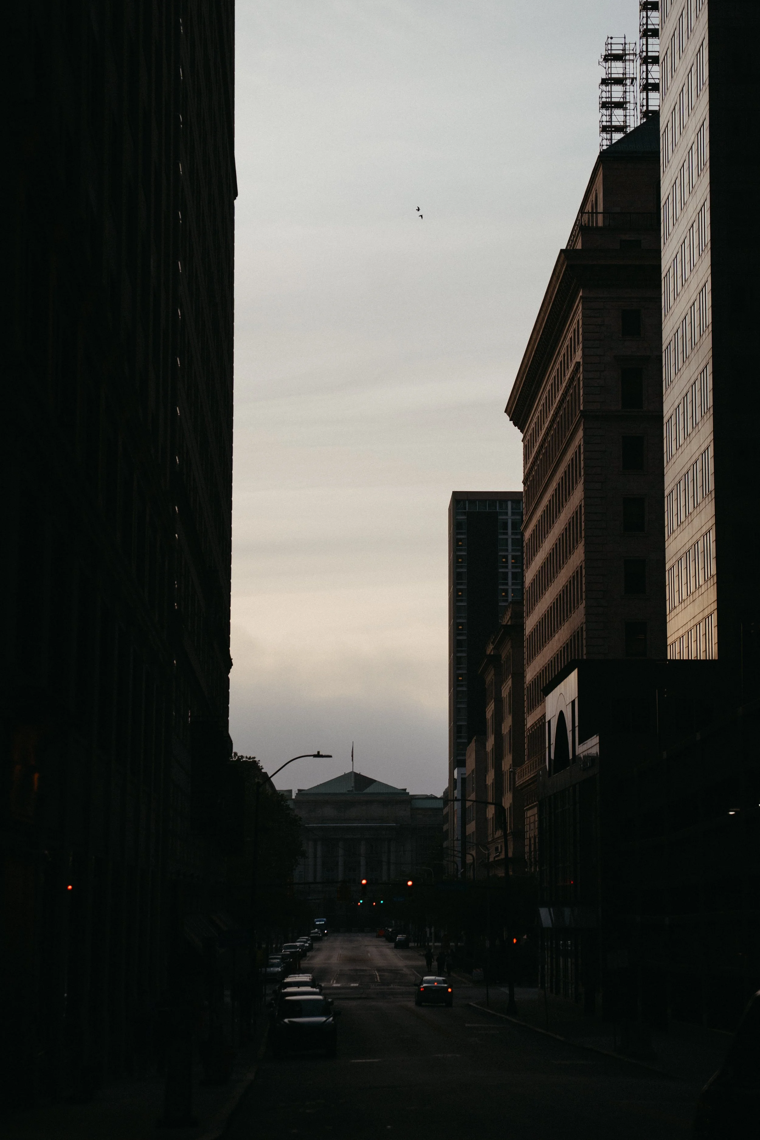 City street scene during dusk with tall buildings on both sides, a few cars on the street, and a few birds flying in the sky.