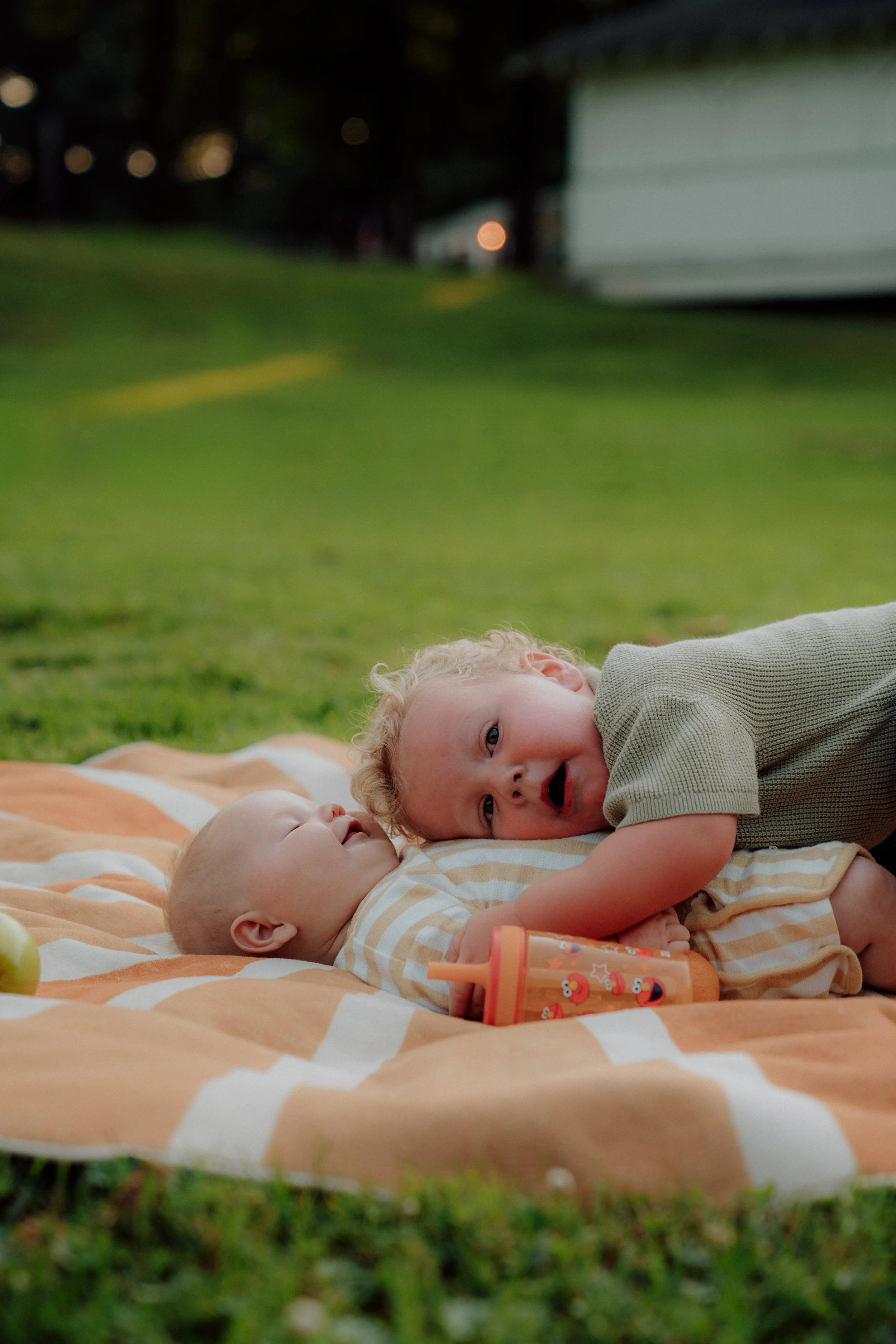 Two young children lying on a striped blanket on the grass, with a baby and an older child. The older child is looking at the baby, who has a pacifier in their mouth. The scene is outdoors during dusk or early evening.