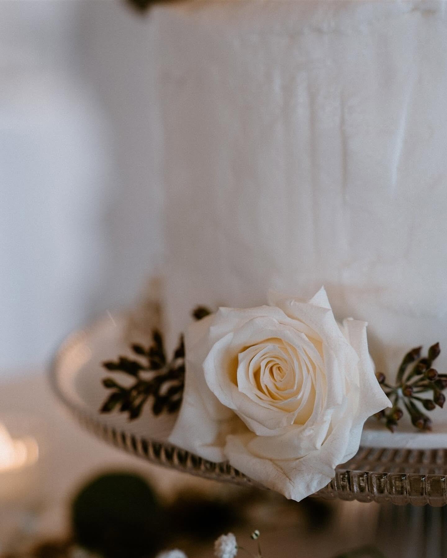 A white rose flower in a glass container with a few sprigs of dark greenery surrounding it, placed on a clear glass surface.