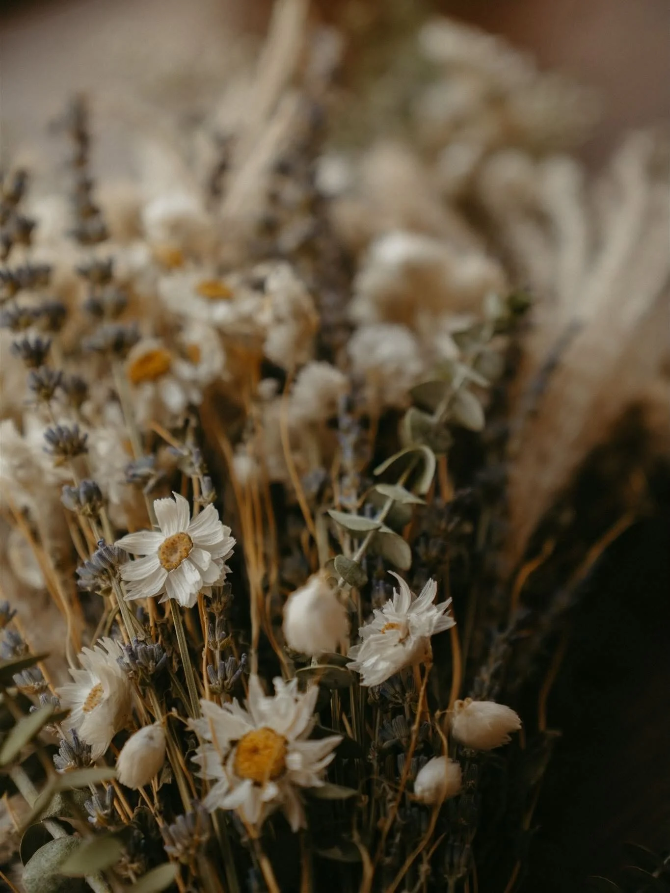 Dried wildflowers and herbs, including white daisies and small purple flowers, arranged in a bunch.