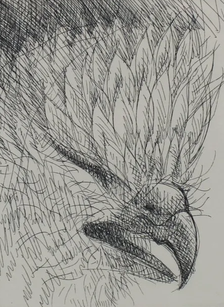 Luis Jiménez (American 1940-2006) “Sharp Hawk”, 1996, edition 21 of 26, etching on paper, gift of Al and Elayne Karickhoff, 2009 (45 ¾’’ H x 33 ¾’’ W) 