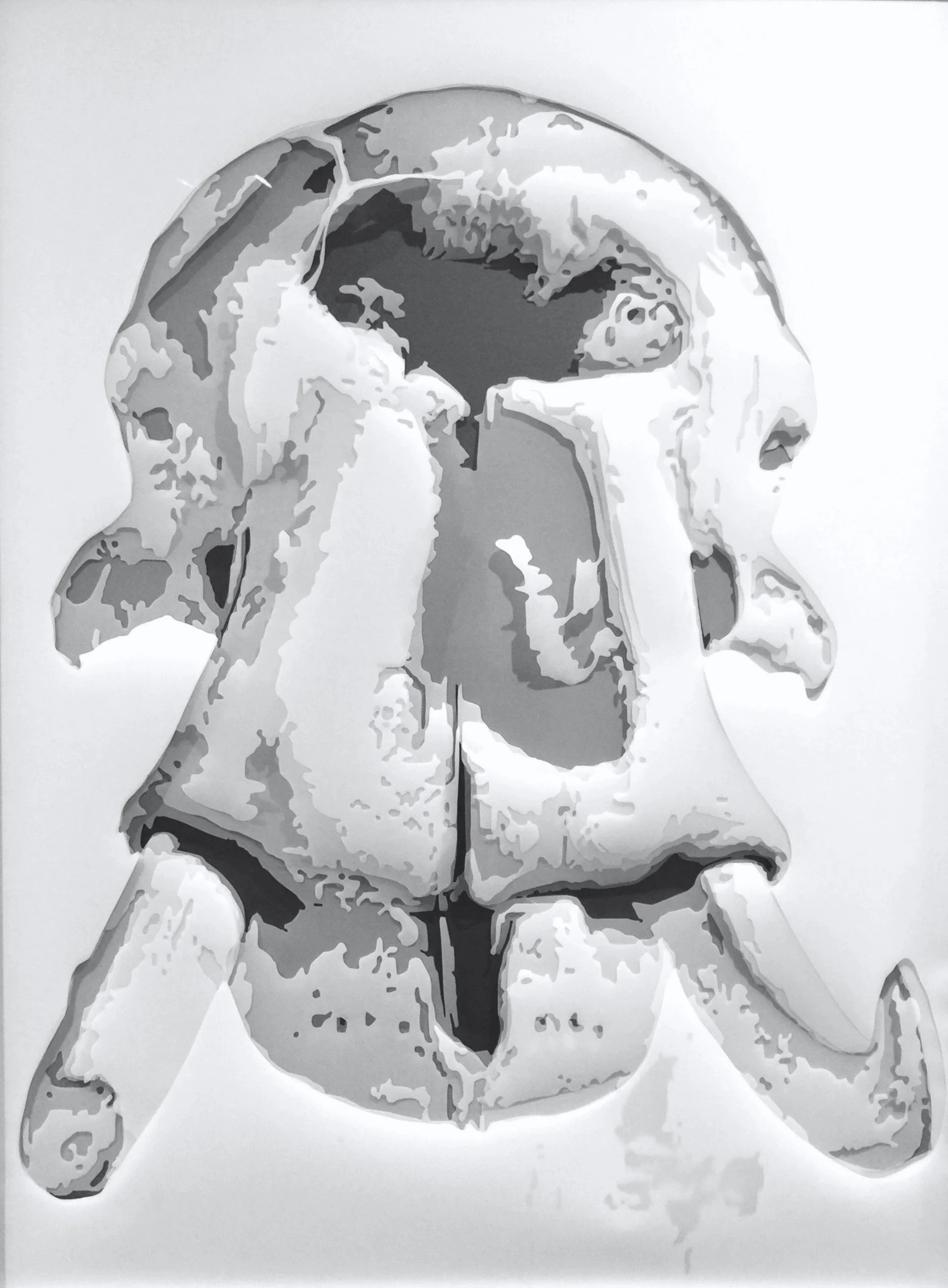 Kyong Ae Kim (South Korean/American 1976) “The Skull 6”, 2016, hand-cut drafting film, museum purchase funded by American Roofing, 2018 (49 ½’’ H x 37 ½’’ W) 
