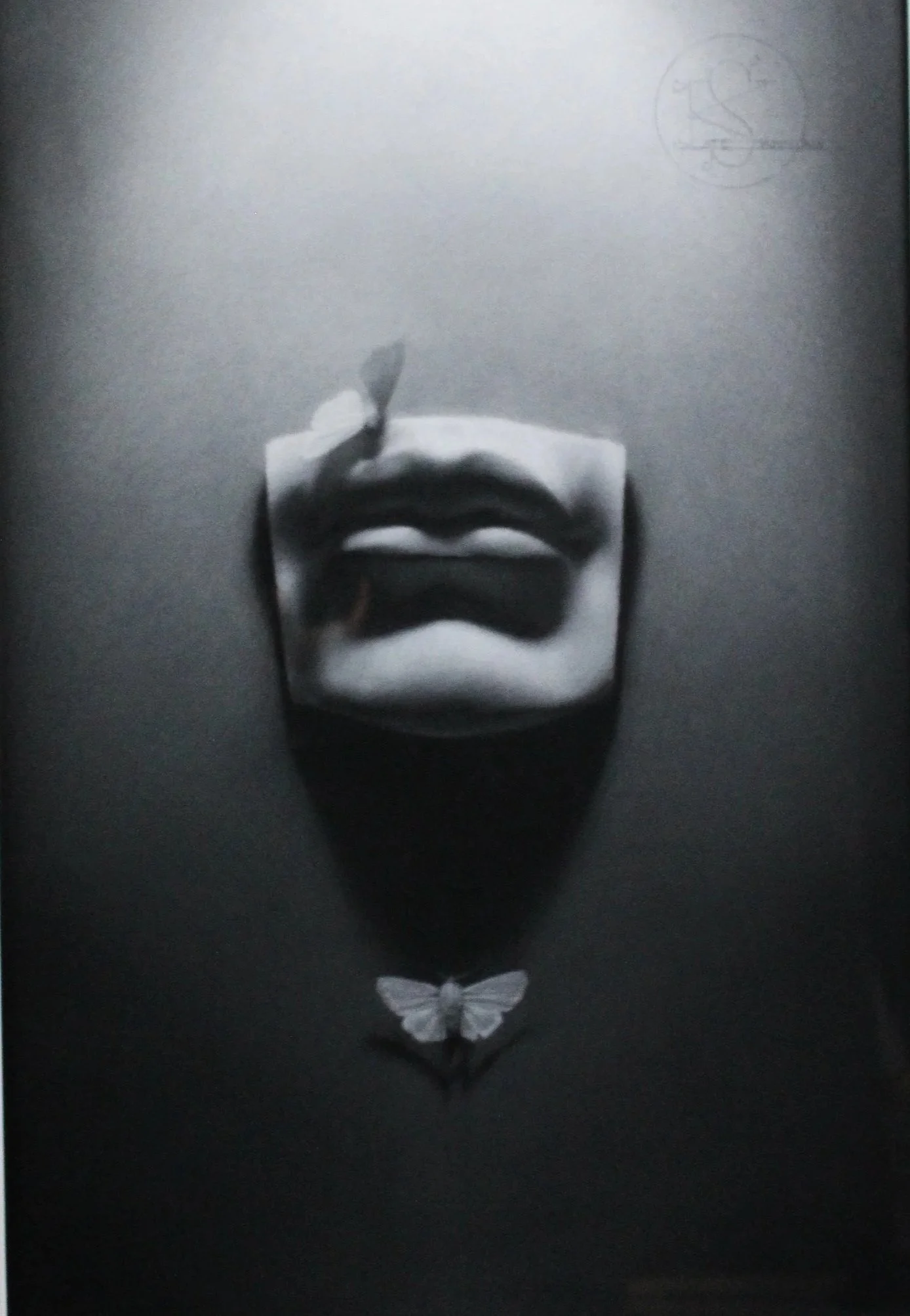 Kate Sammons (Korean/American 1980) “Speechless”, ca. 2009, charcoal on paper, gift of Mike and Linda Tilton, 2018 (19’’ H x 12’’ W) 