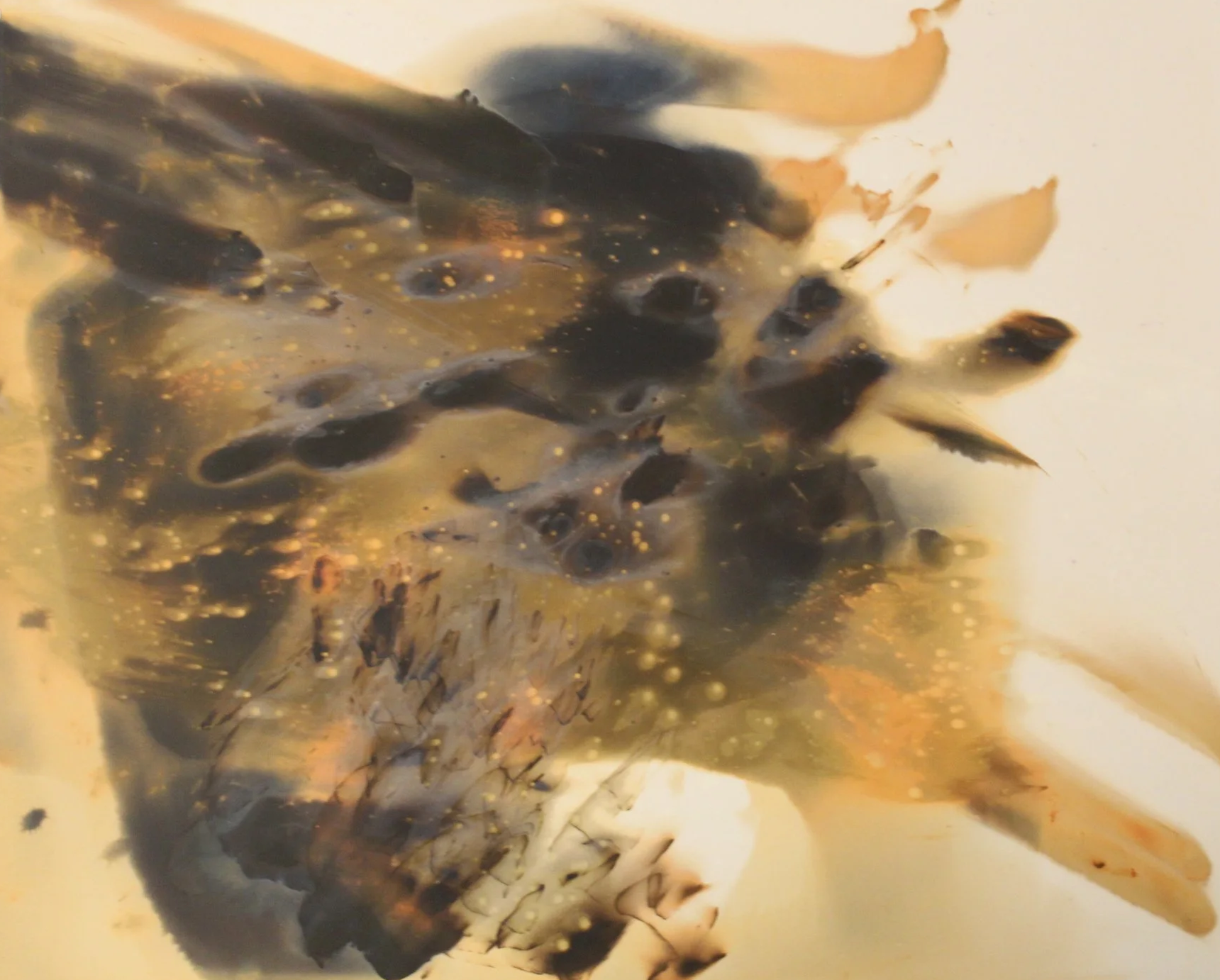 Nolan Preece (American 1947) “Something Coming”, 1981, gold toned silver gelatin print on paper, gift of the artist, 2023 (8’’ H x 10’’ W) 