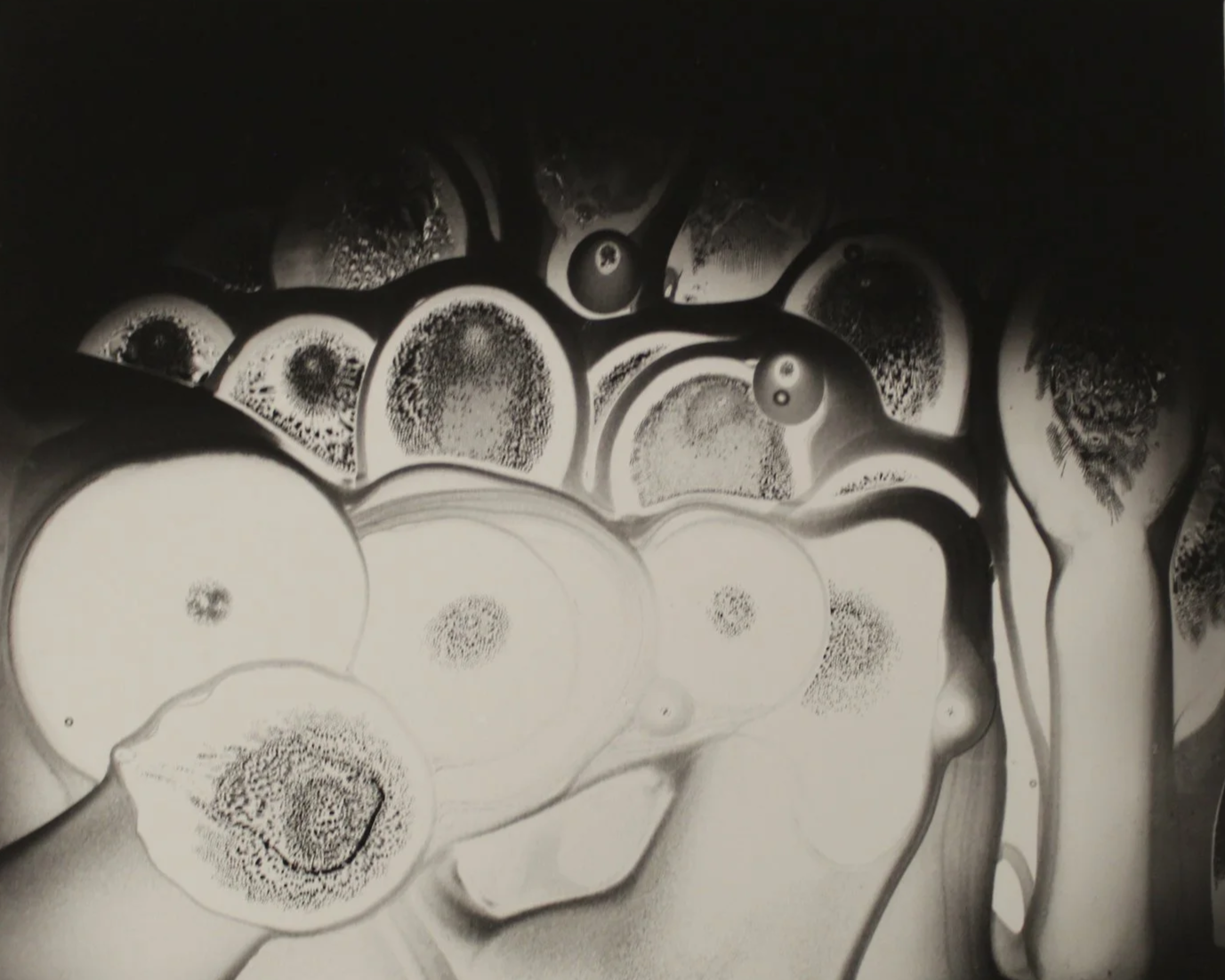 Nolan Preece (American 1947) “Gathering”, 1979, silver gelatin print on paper, gift of the artist, 2023 (8’’ H x 10’’ W) 