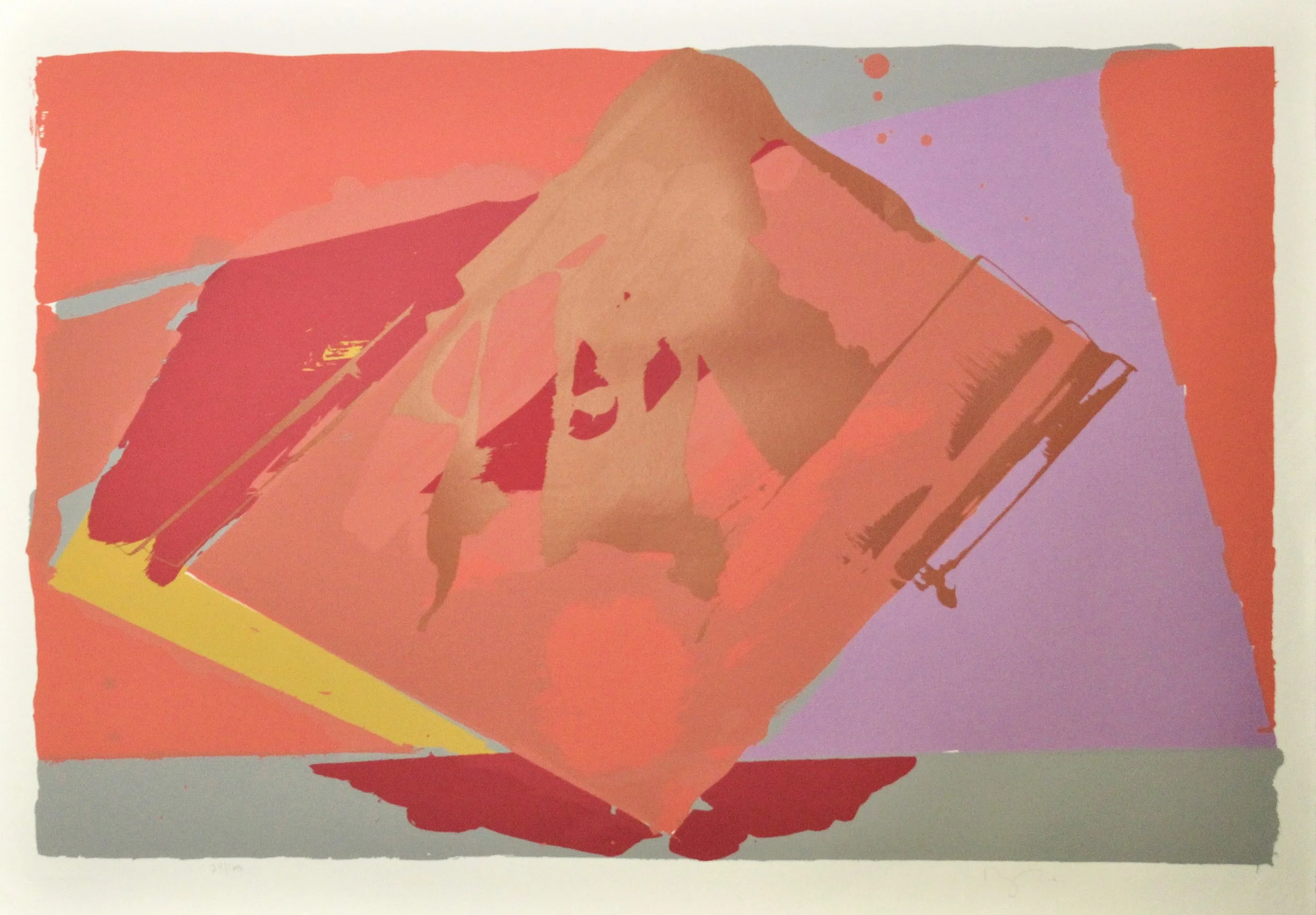 Darryl Hughto (American 1943) “Angelou”, 1980, edition 24 of 160, screenprint on paper, gift of Mike and Linda Tilton, 2018 (30’’ H x 42’’ W) 