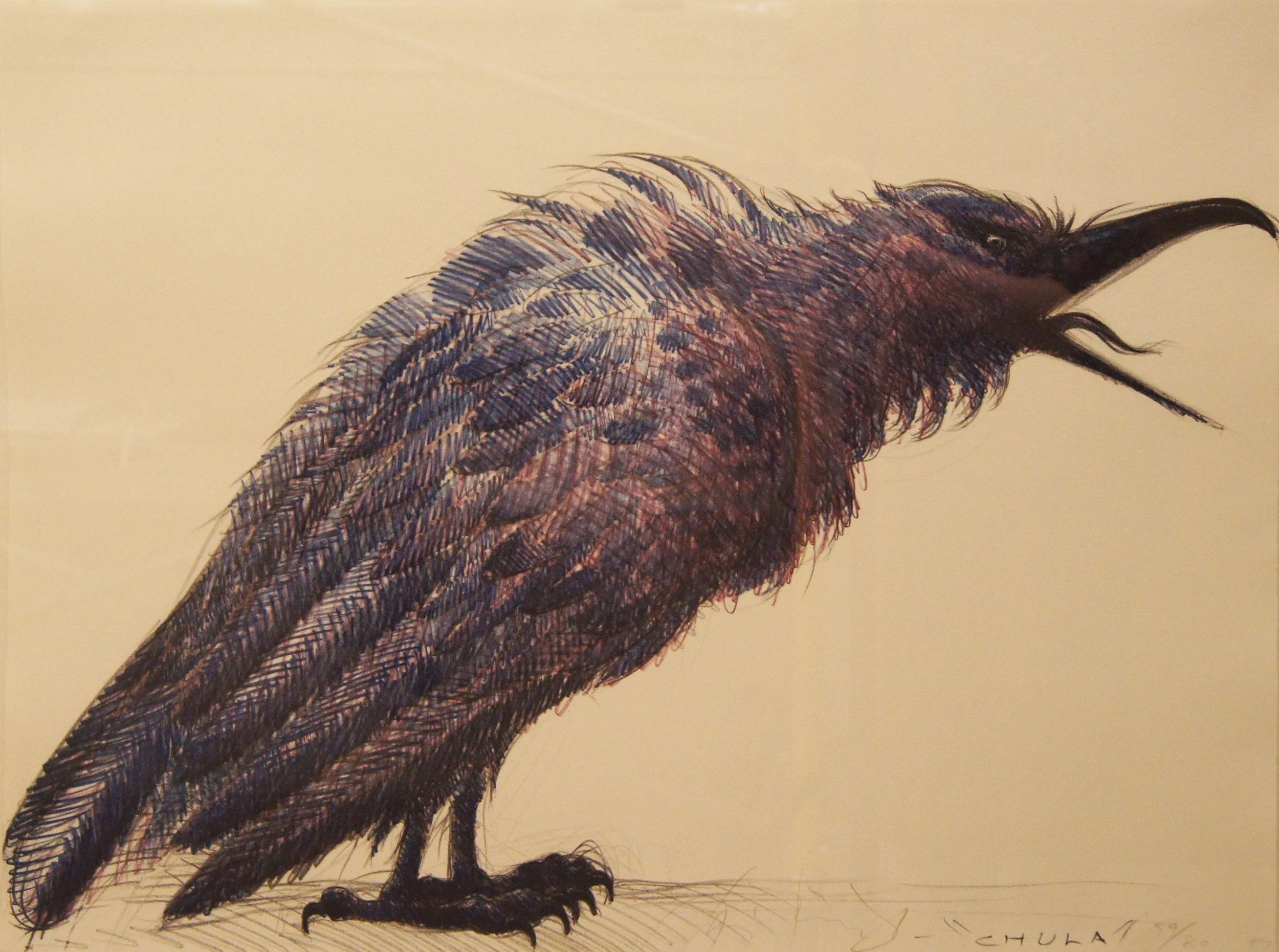 Luis Jiménez (American 1940-2006) “Chula”, 1987, edition 59 of 80, lithograph on paper, gift of Elayne Karickhoff, 2002 (22’’ H x 29 ¾’’ W) 