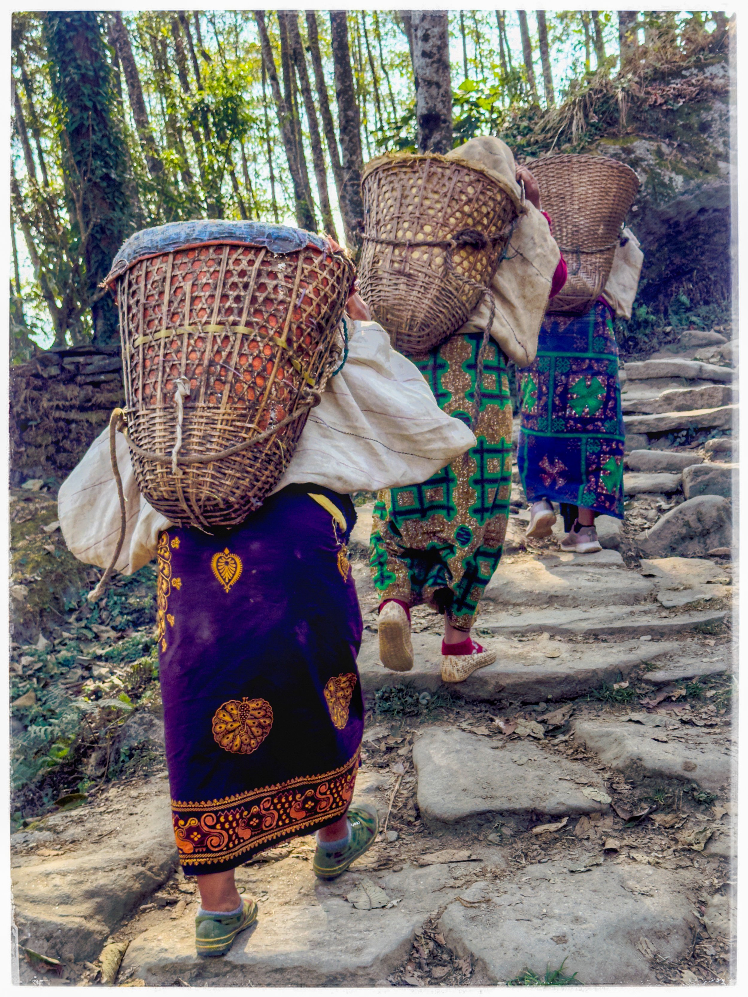 Kathleen Mahoney, Paths of the Doko: Women returning from the forest carrying dokos, 2024,
archival pigment print
