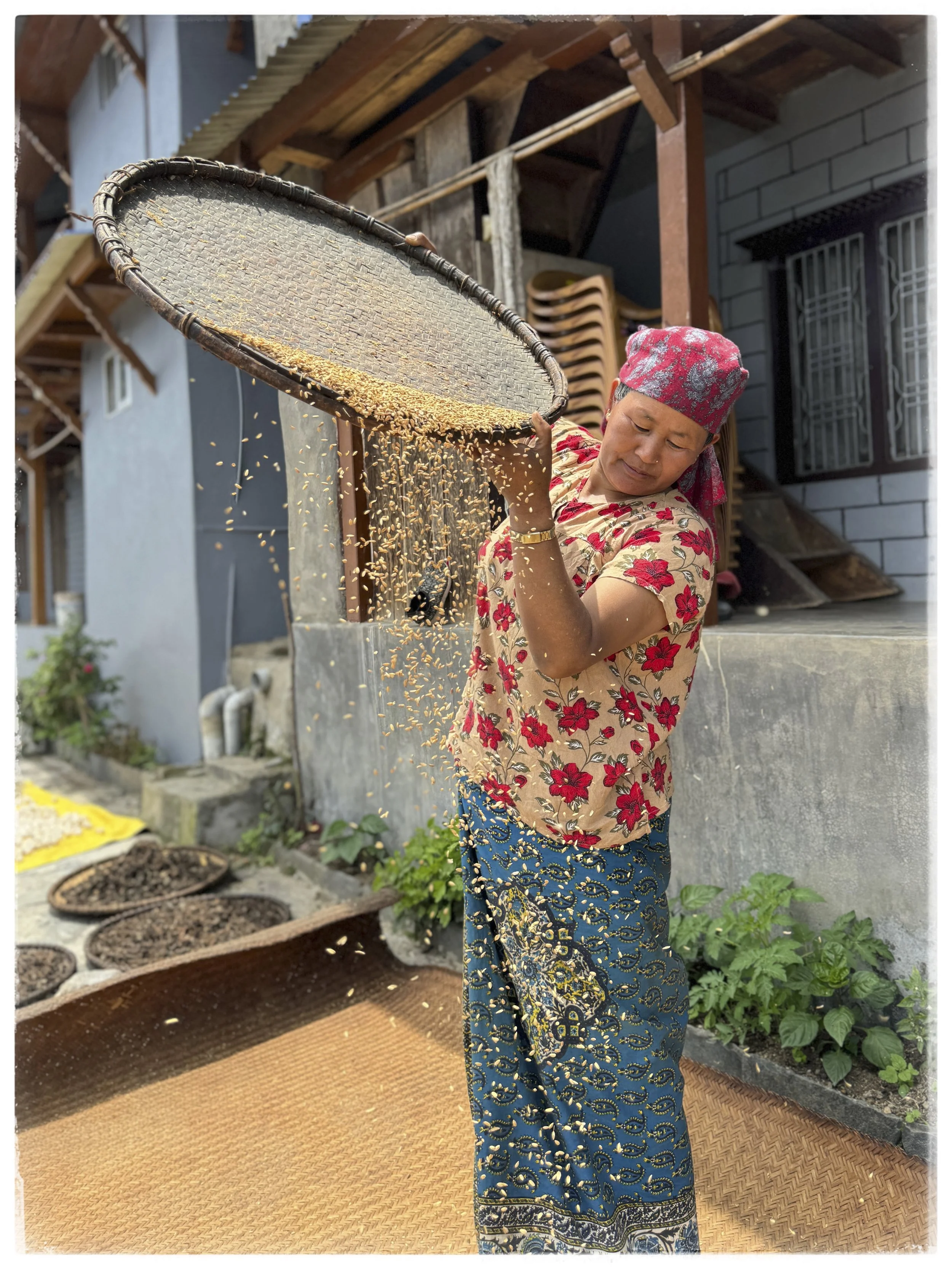 Kathleen Mahoney, Laxmi's Harvest: Using a nanglo to separate grain from chaff, 2024,
archival pigment print