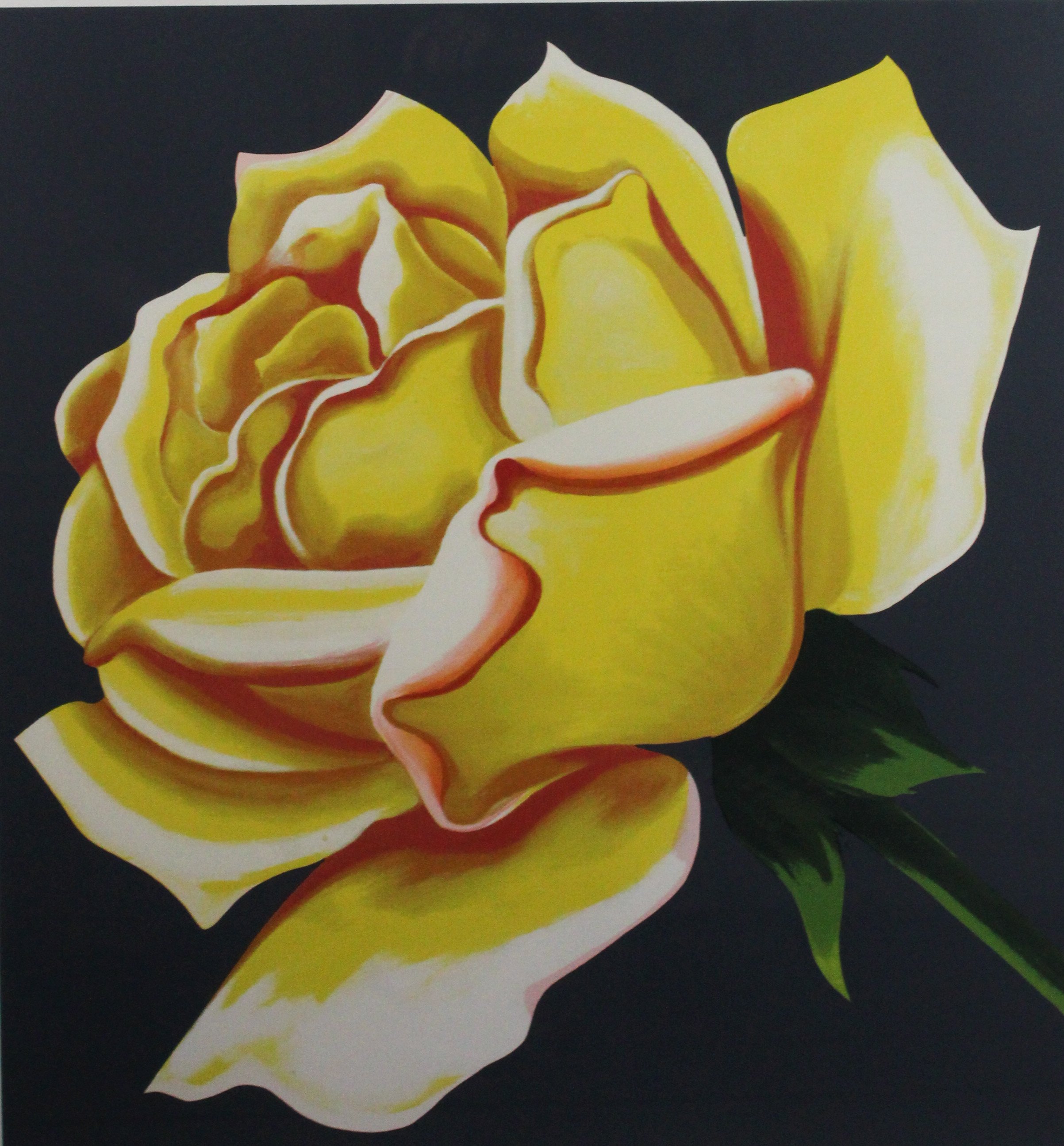 Lowell Nesbitt (American 1933-1993) “Yellow Rose”, 1978, serigraph on paper, gift of Jeff Parker, 2003 (25’’ H x 23’’ W) 