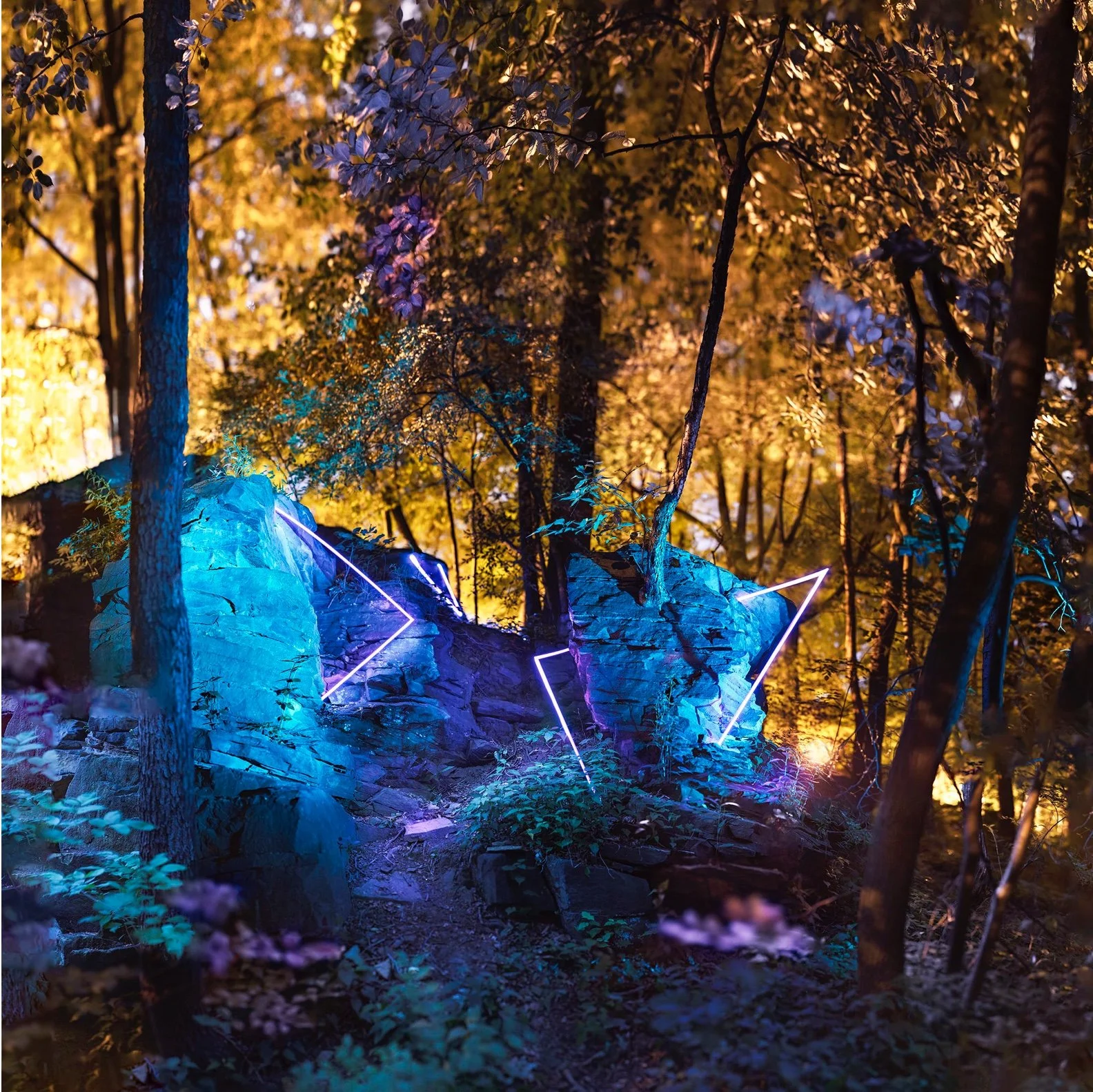 Barry Underwood (American 1963) “Linear Construction 12 (Doan Brook)”, 2020, edition of 5, pigment print on paper, gift of the artist, 2023 (44’’ H x 44’’ W) 