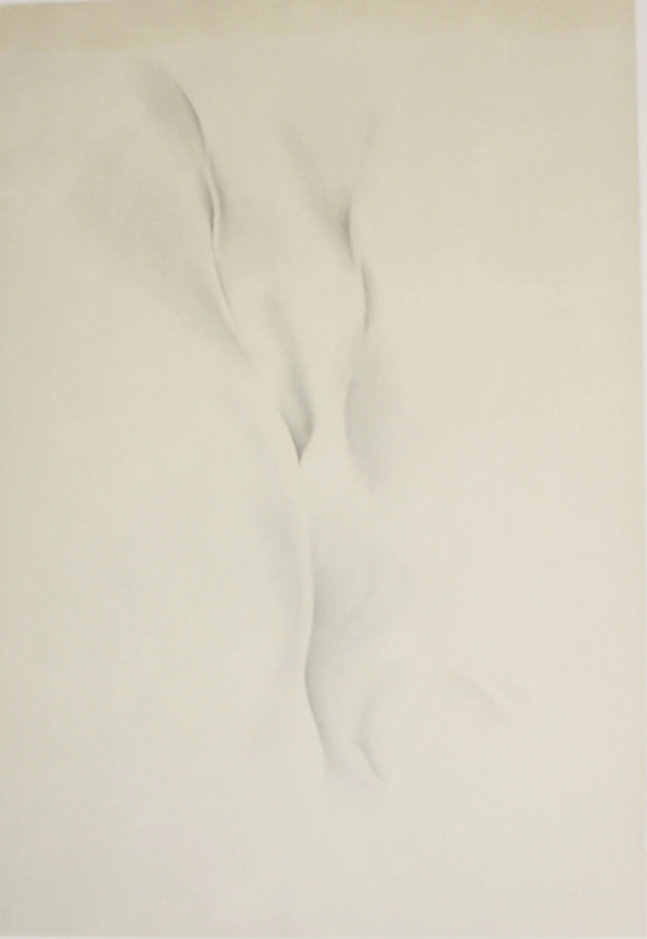 Georgia O’Keeffe (American 1887-1986) “Drawing Number 40”, 1934, lithograph on paper, from the “Georgia O’Keeffe Drawings” portfolio, 1968, New York: Atlantis Editions, edition 48 of 230, museum purchase in memory of Jane Knox, 2019 (26’’ H x 20’’ W)