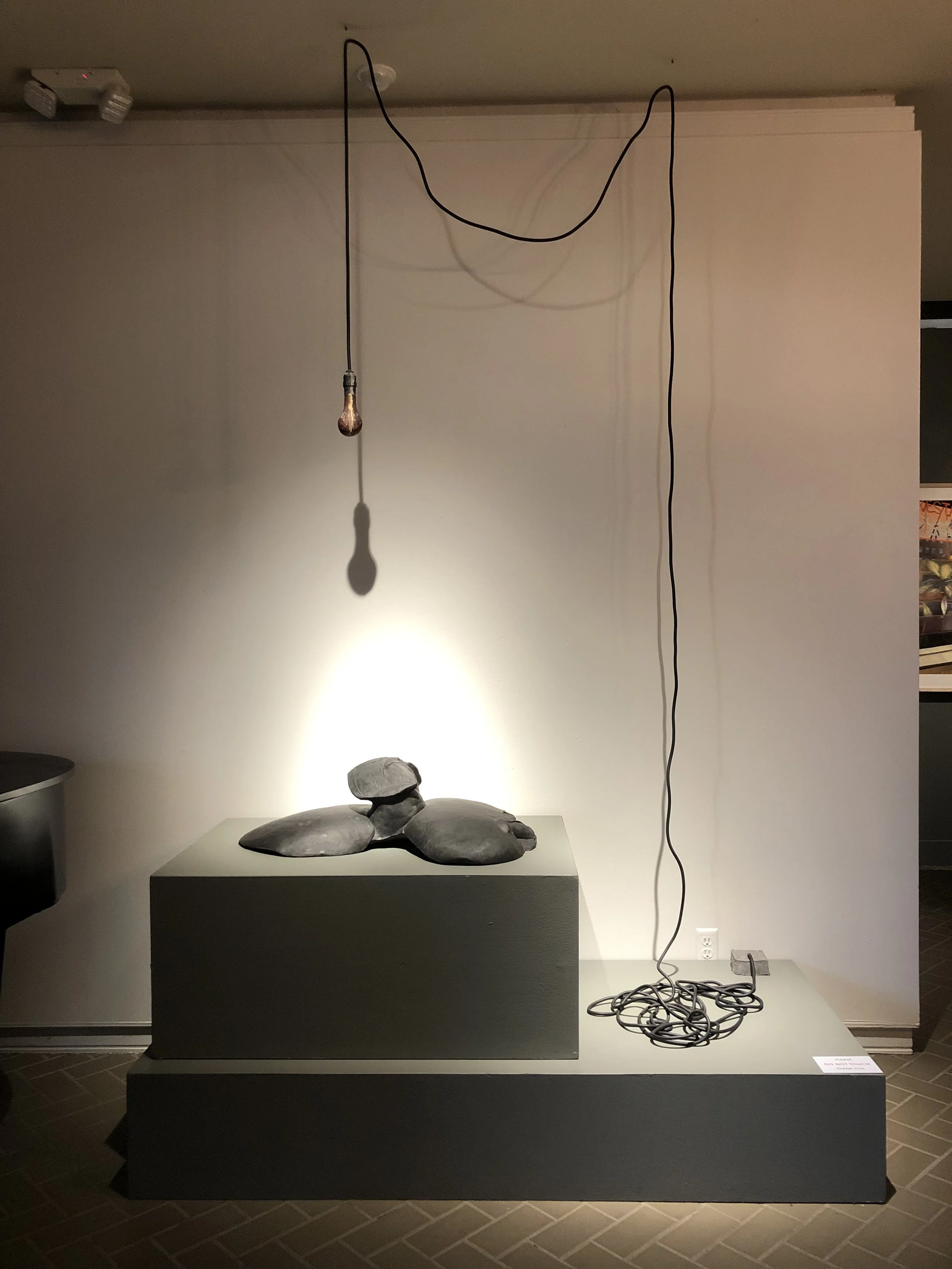Jeanne Silverthorne (American 1950) “untitled”, 1994, rubber and resin, gift of the Museum of Fine Art, Houston, The Broida Collection and Museum of the Southwest, 2013