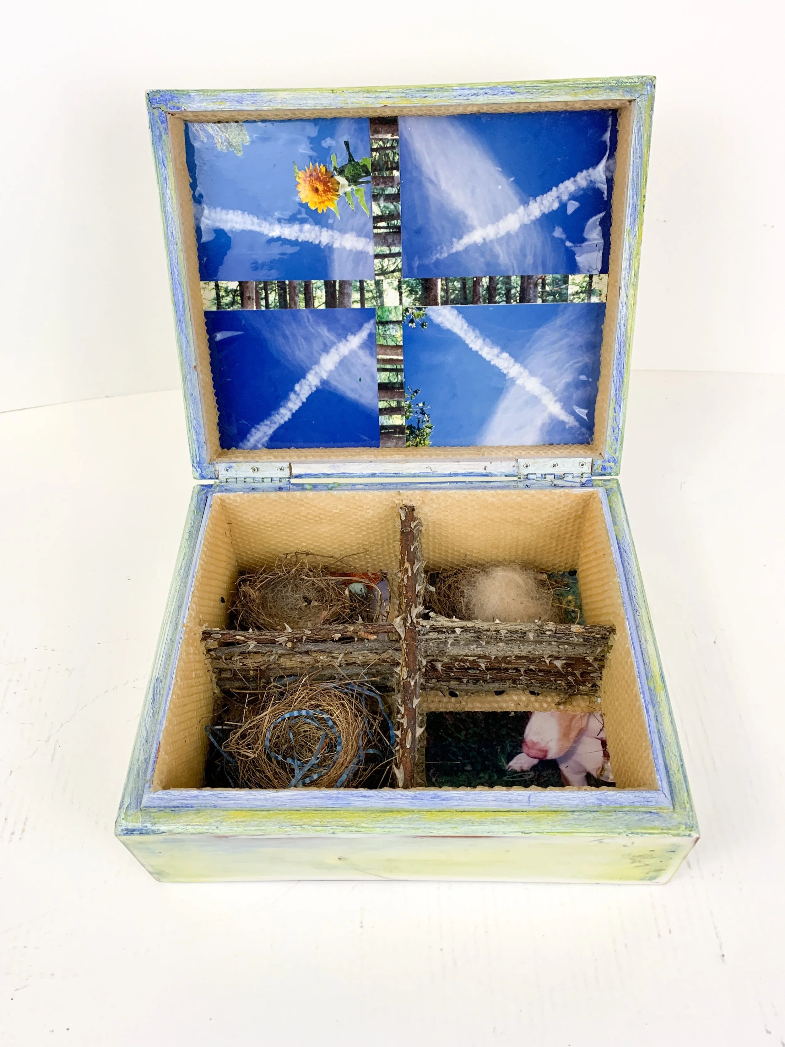 Katherine Bowling (American 1955) “Birds/Bees”, 1997, mixed media and cedar humidor, gift of Edward R. Broida Bequest and the Museum of Fine Arts, Houston, 2013 (10'' H x 12'' W x 5'' D)