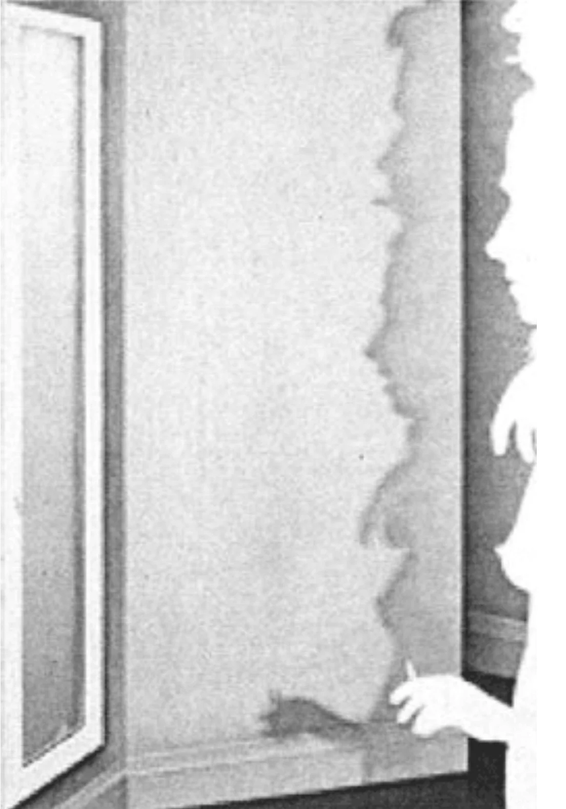 Alexi Worth (American 1964) “Doublesmoker”, 2013, acrylic on nylon mesh, gift of Diane and Craig Solomon, 2023 (55’’ H x 36’’ W) 