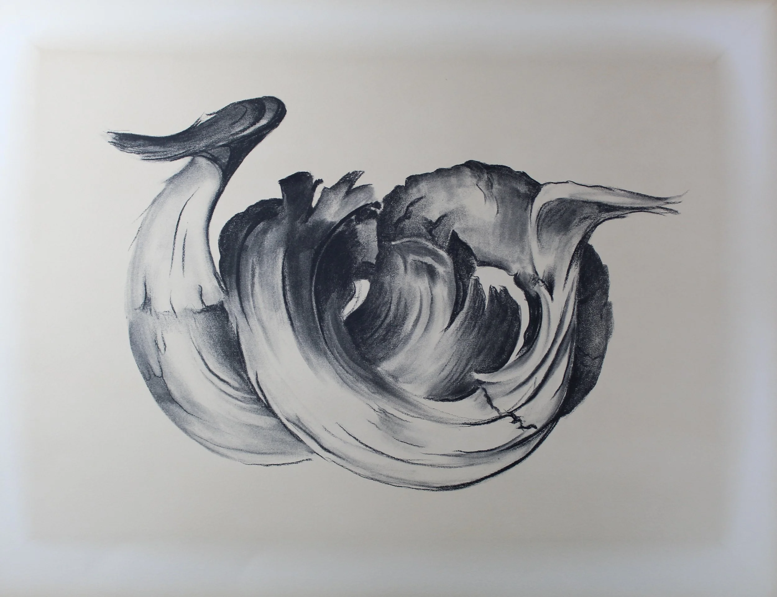 Georgia O’Keeffe (American 1887-1986) “Ram’s Horn”, ca. 1949, lithograph on paper, from the “Georgia O’Keeffe Drawings” portfolio, 1968, New York: Atlantis Editions, edition 48 of 230, museum purchase in memory of Jane Knox, 2019 (20’’ H x 26’’ W) 