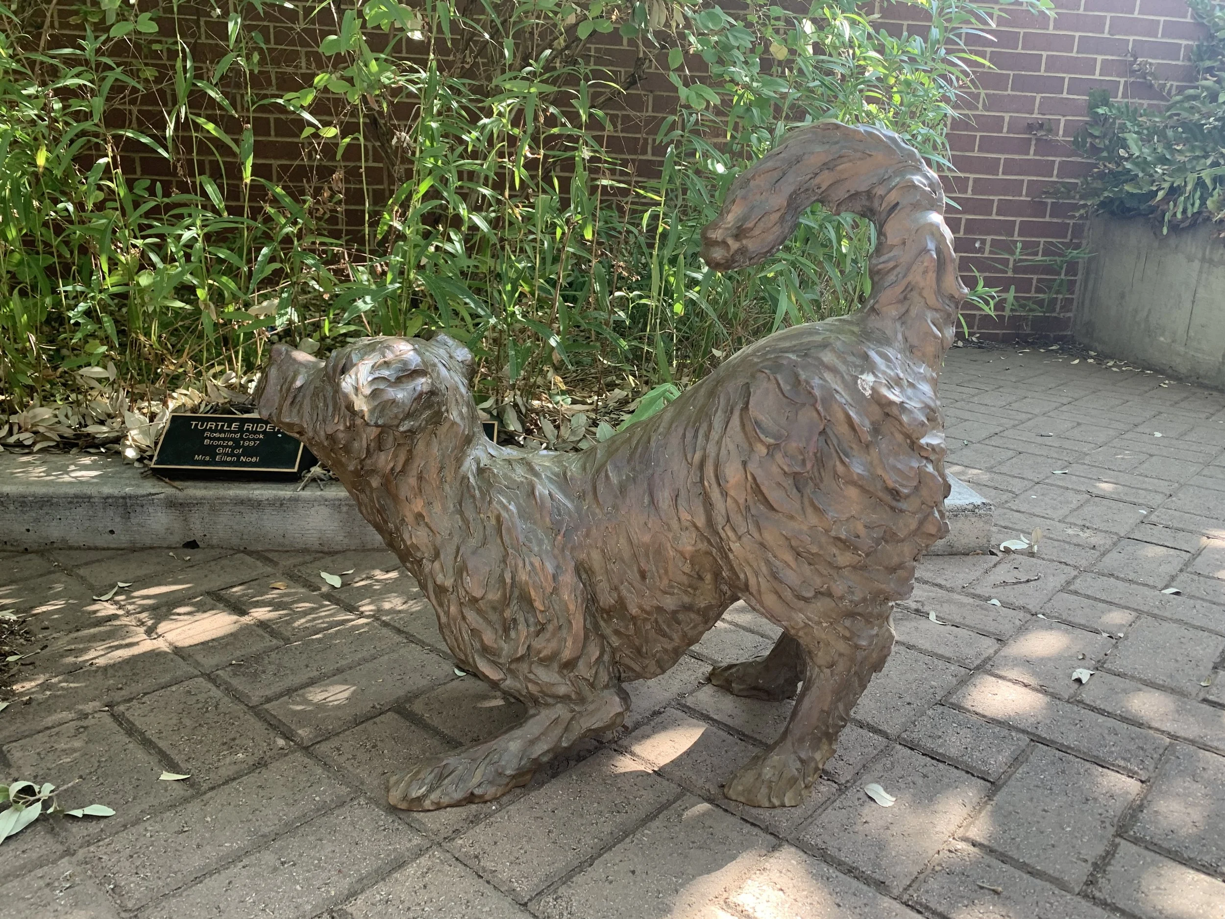 Rosalind Cook (American 1946) “Playful Pup”, 1998, edition 3 of 39, bronze, gift of Cy and Lissa Wagner, 1998 (23'' H x 11 1/2'' W x 11 1/2'' D)