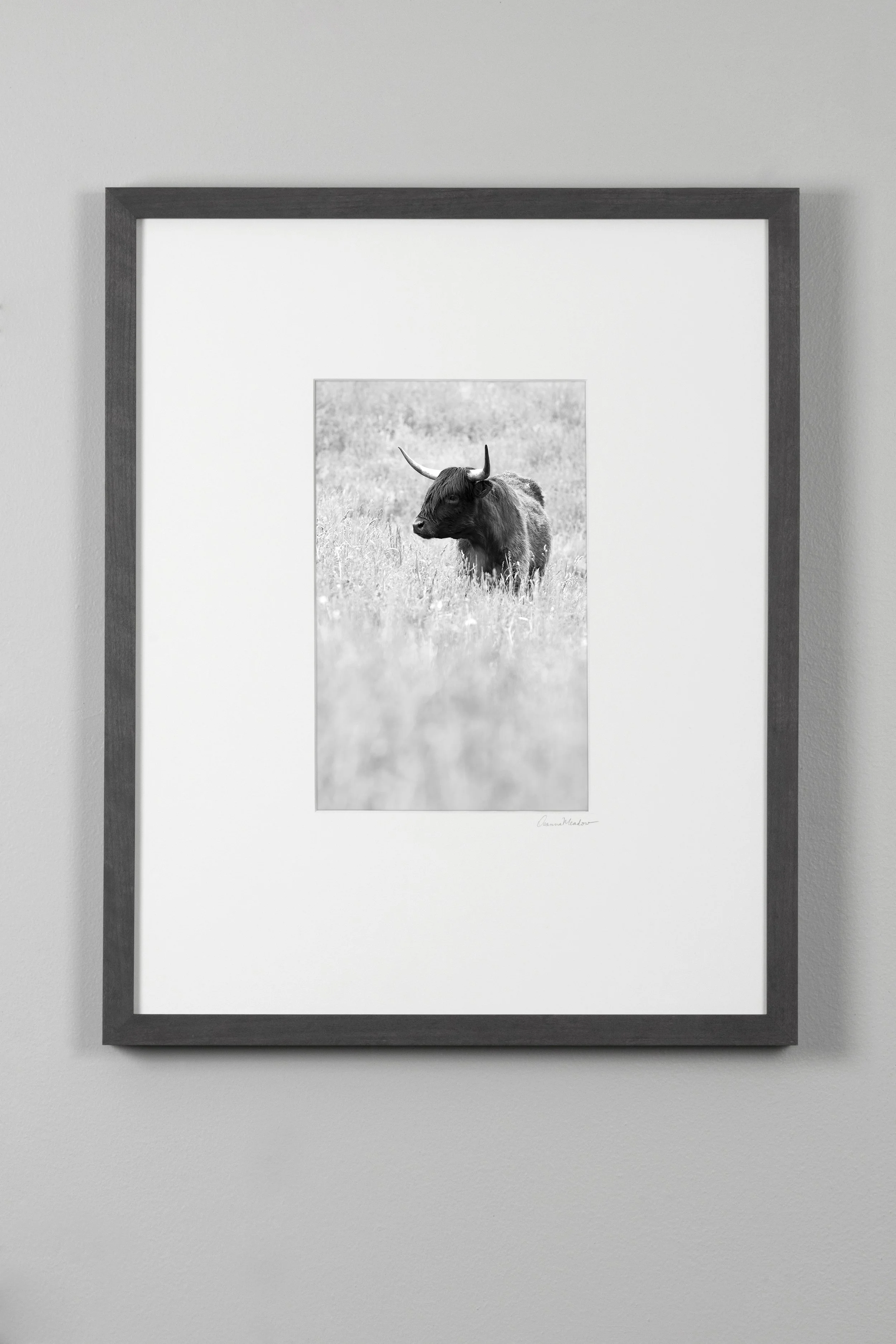 frame-HighlandCow-vertical-1.jpg