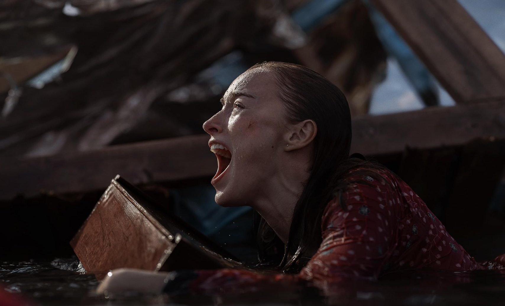 ‘Thrash’ Movie Review: Sharks-In-A-Hurricane Premise Only Whets Appetite For Schlock