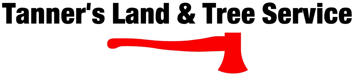 Artboard 1-100.jpg
