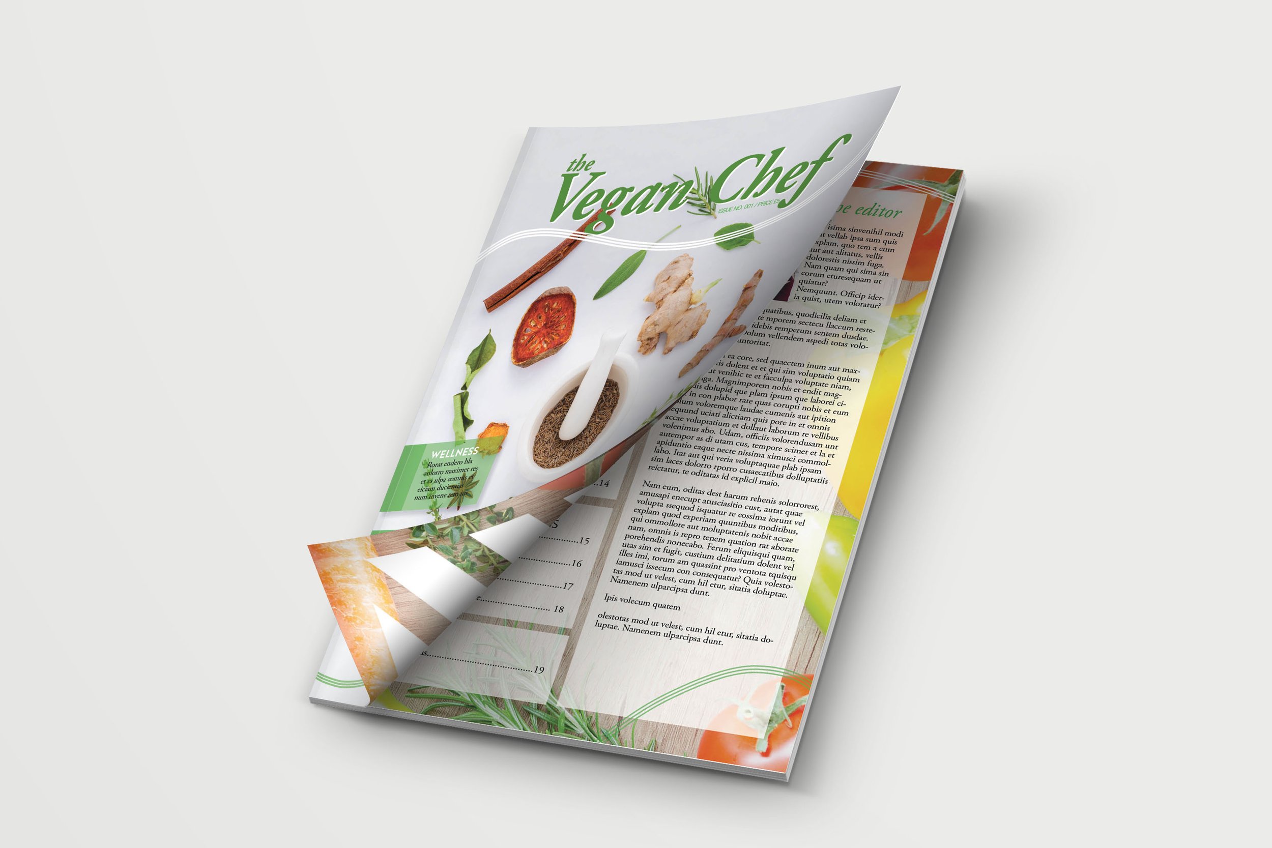 vegan magazine mock5.jpg