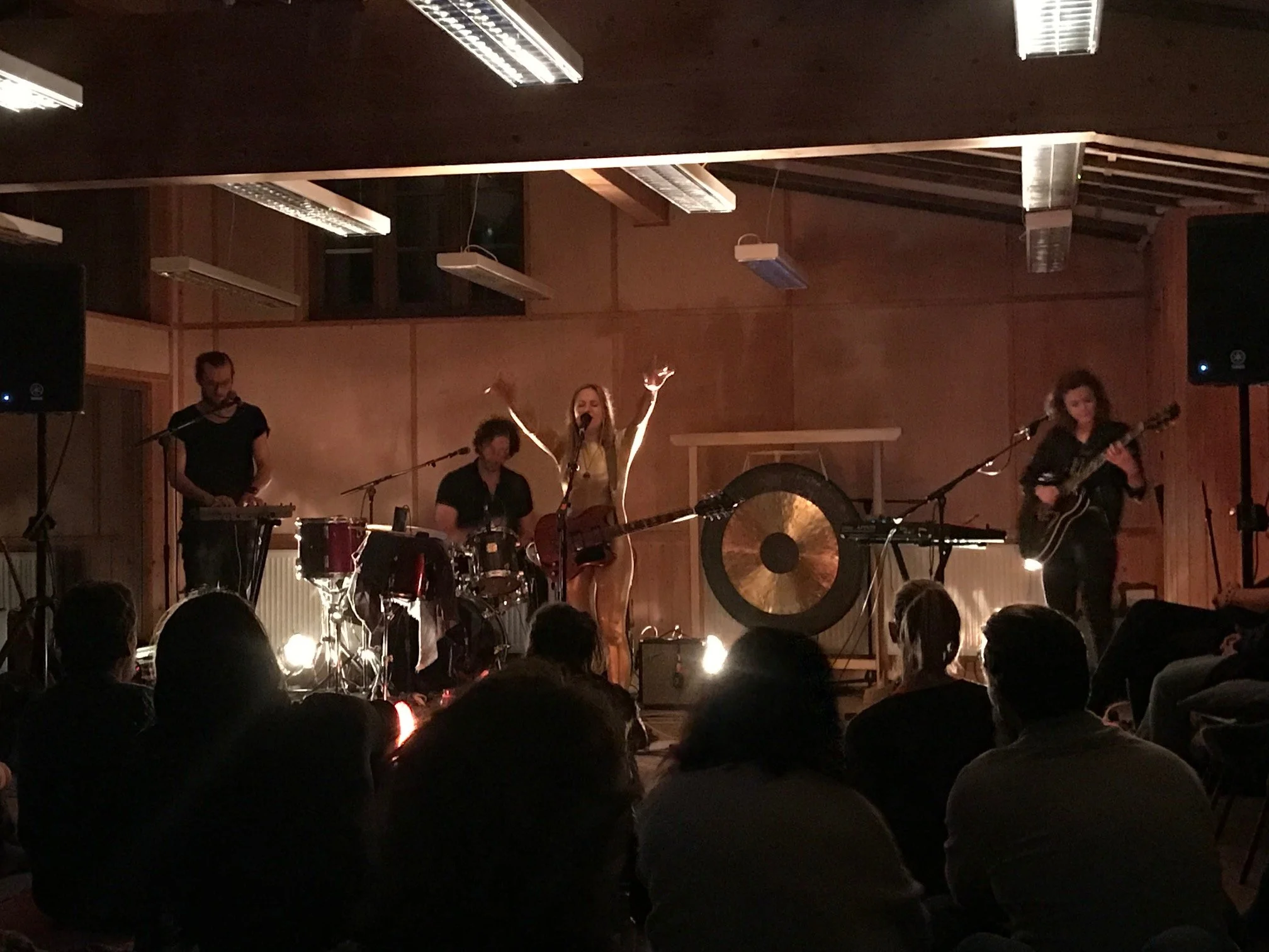 Live at Beaulieu Tree House.jpeg