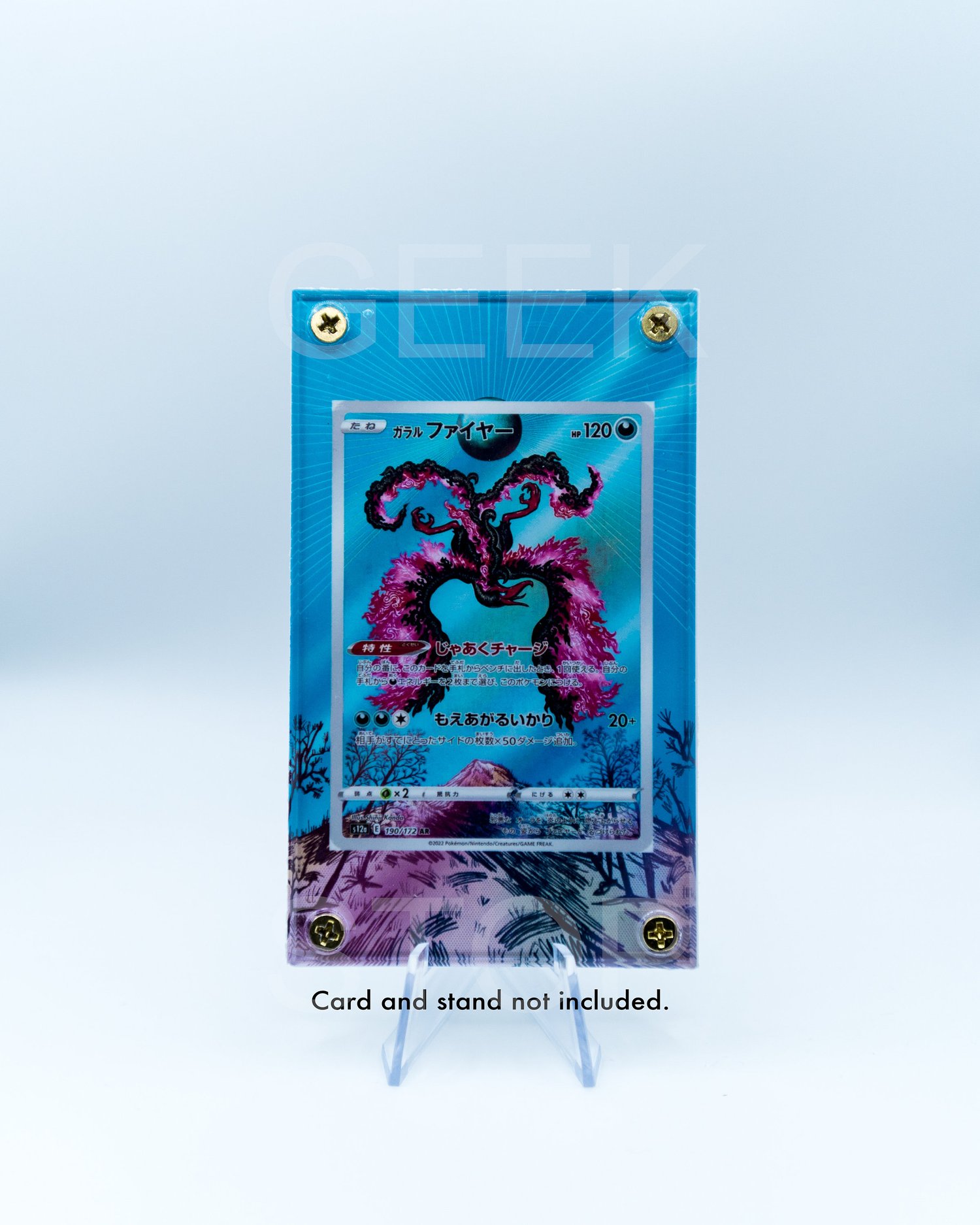 Raikou V Alt Art Custom Pokemon Card Display Case — GeeksStop