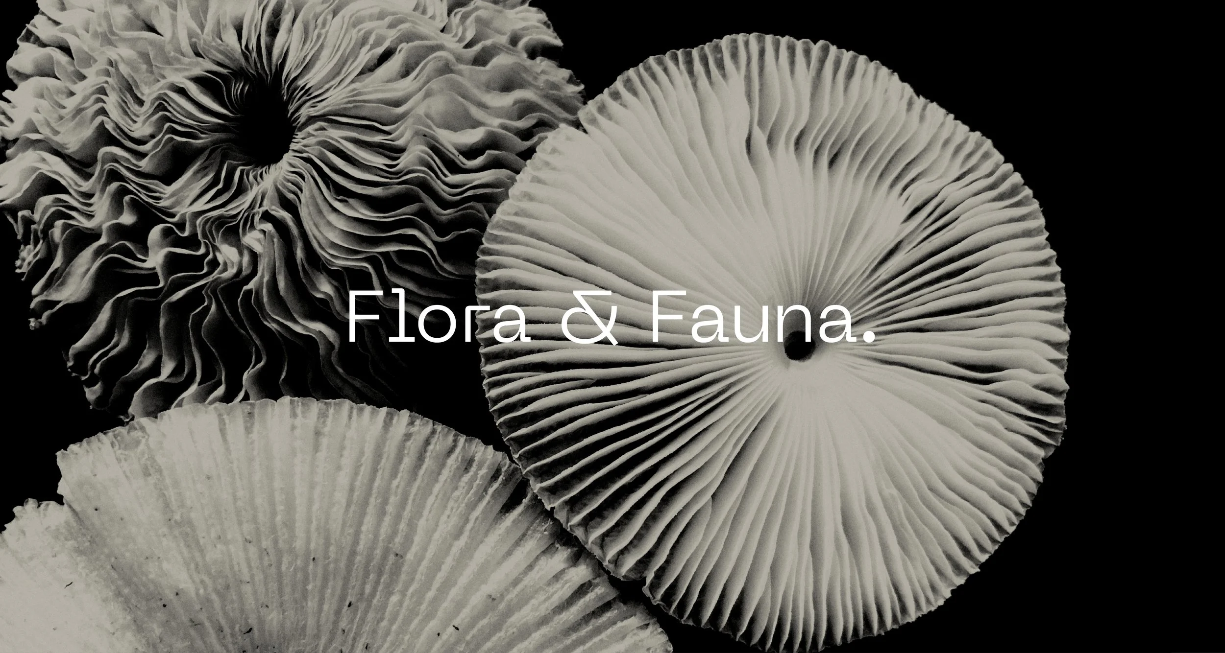 Louisa Hart Brand