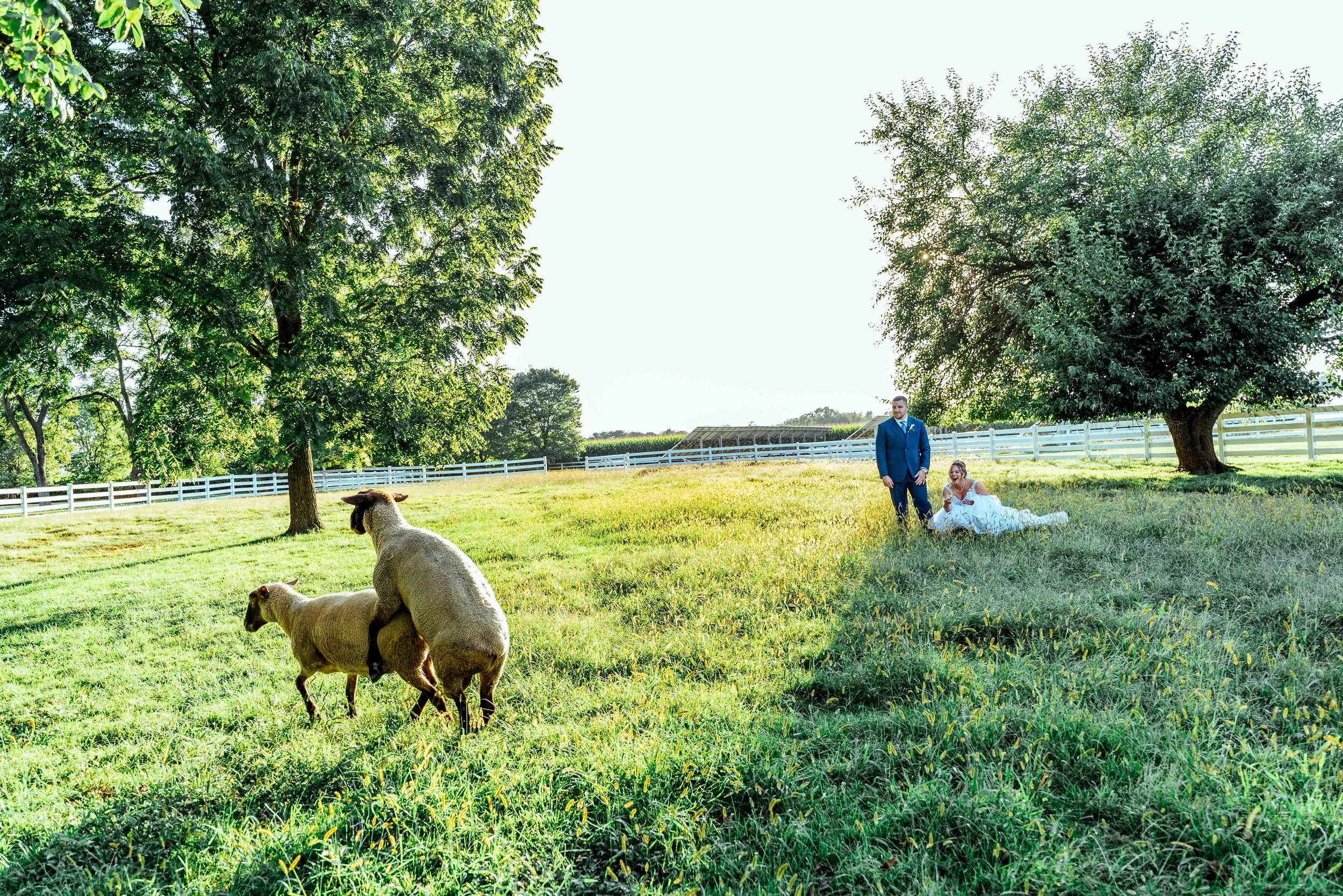 WjohnsPhoto Client Samples-211.jpg